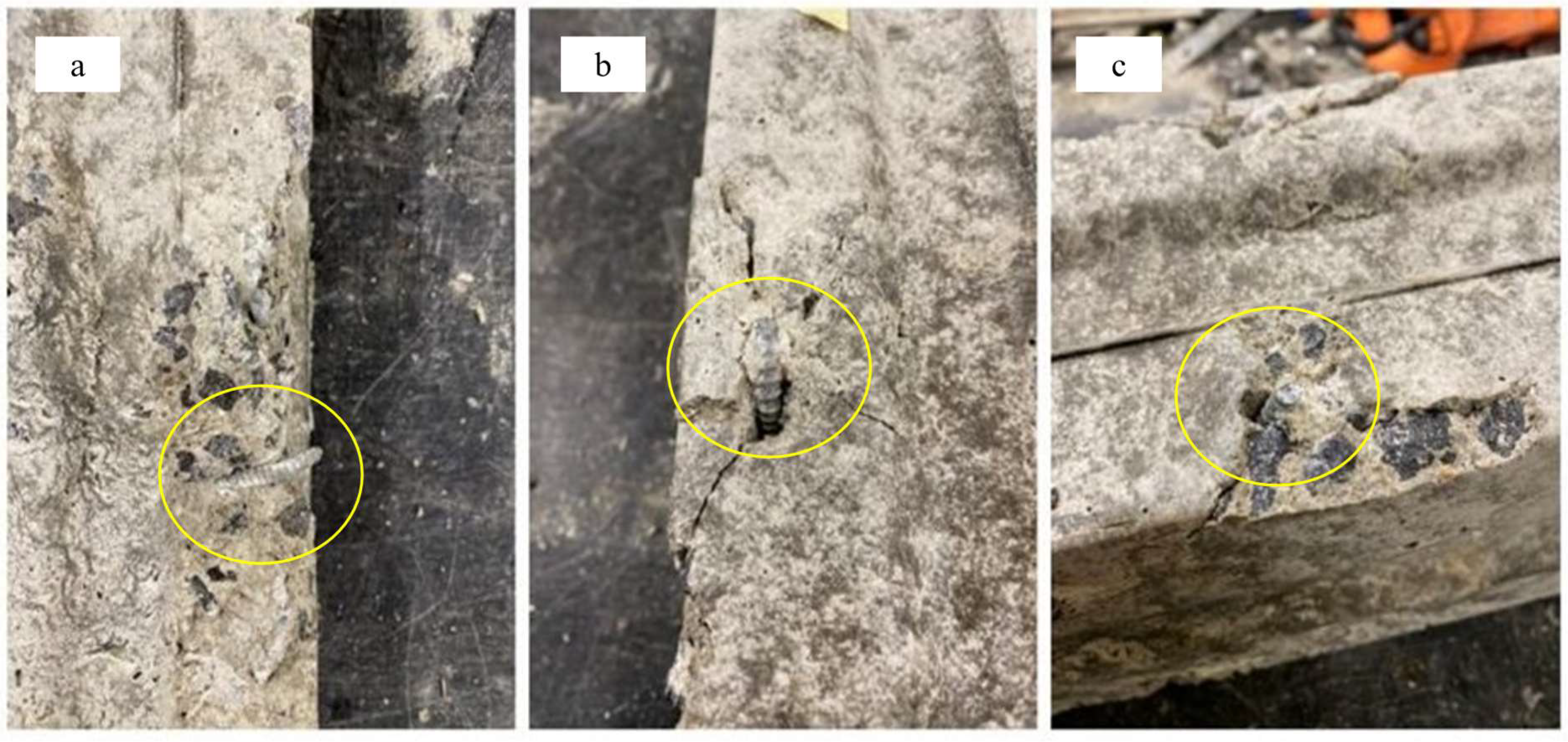 Preprints 154562 g011