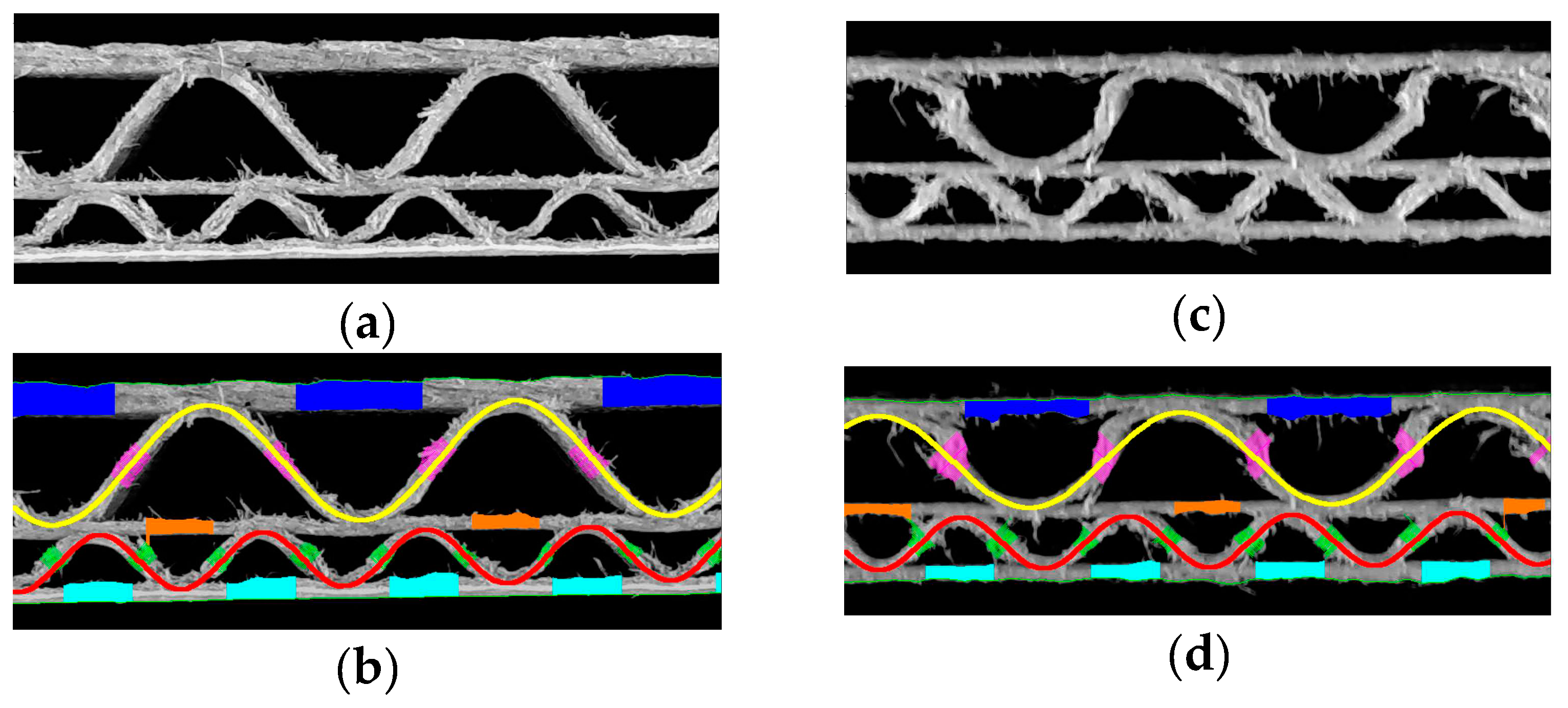 Preprints 97144 g015