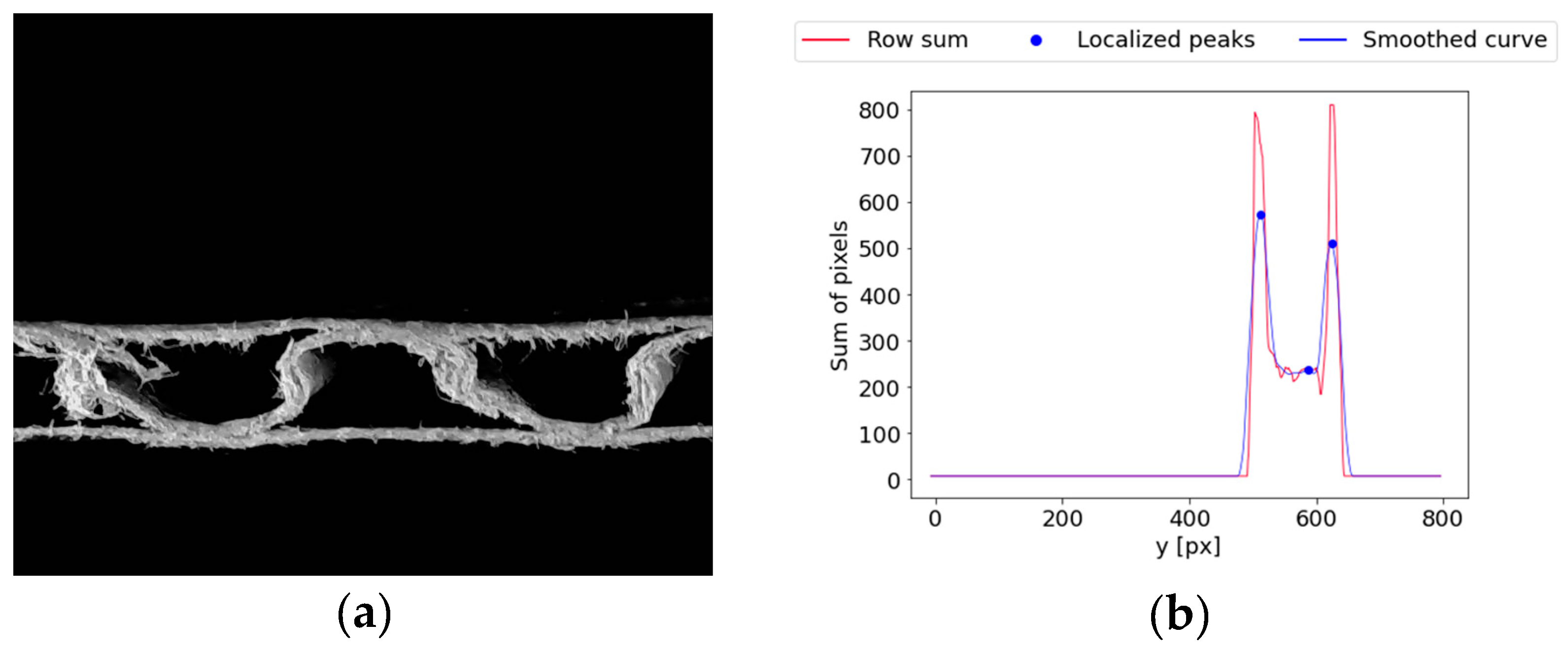 Preprints 97144 g018