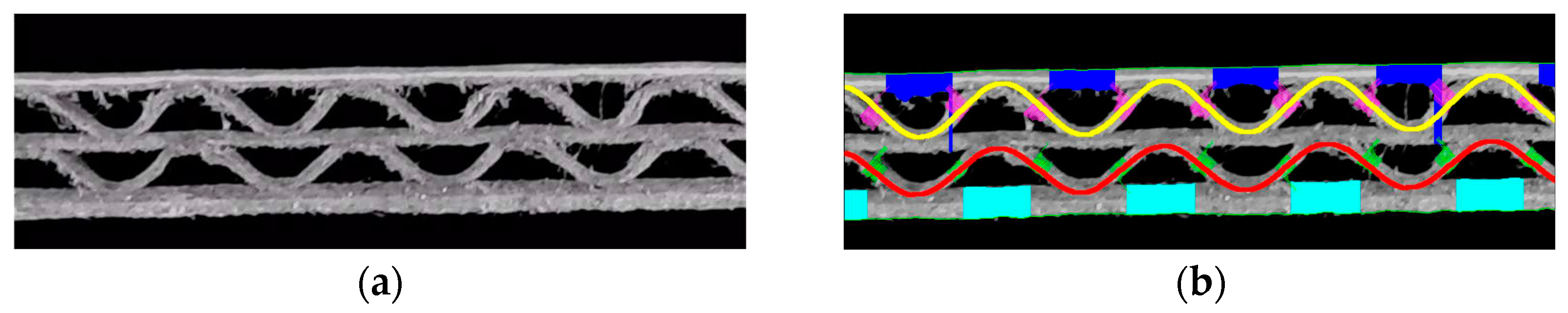 Preprints 97144 g019