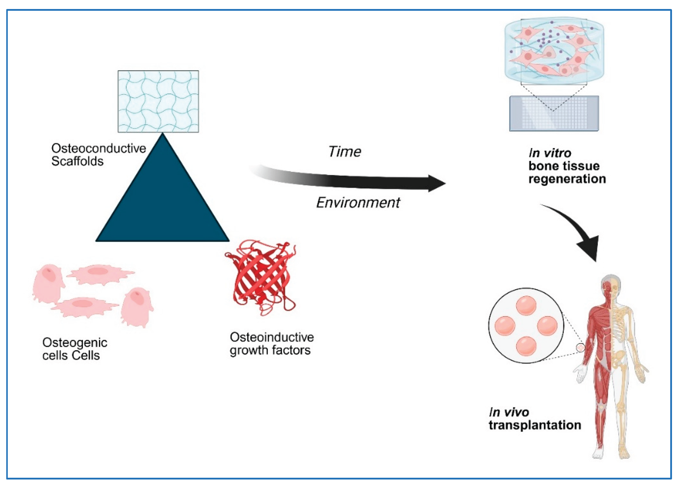 Preprints 189521 g001