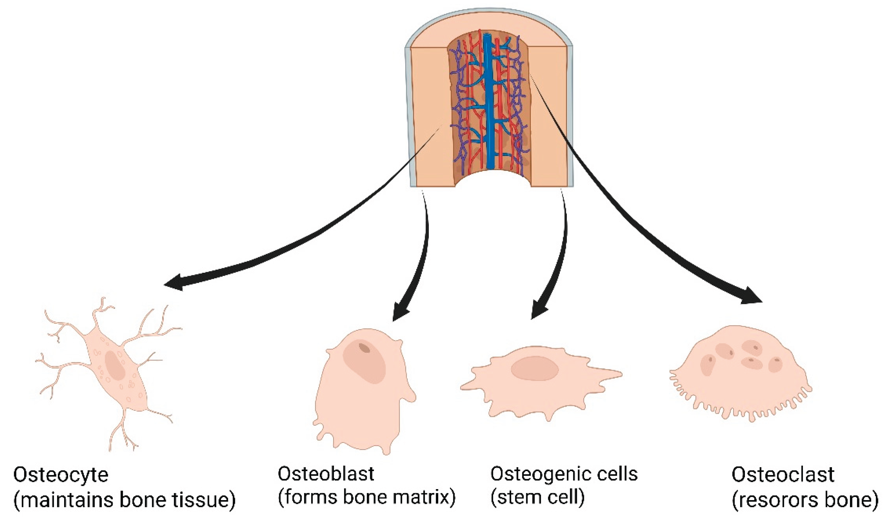 Preprints 189521 g002
