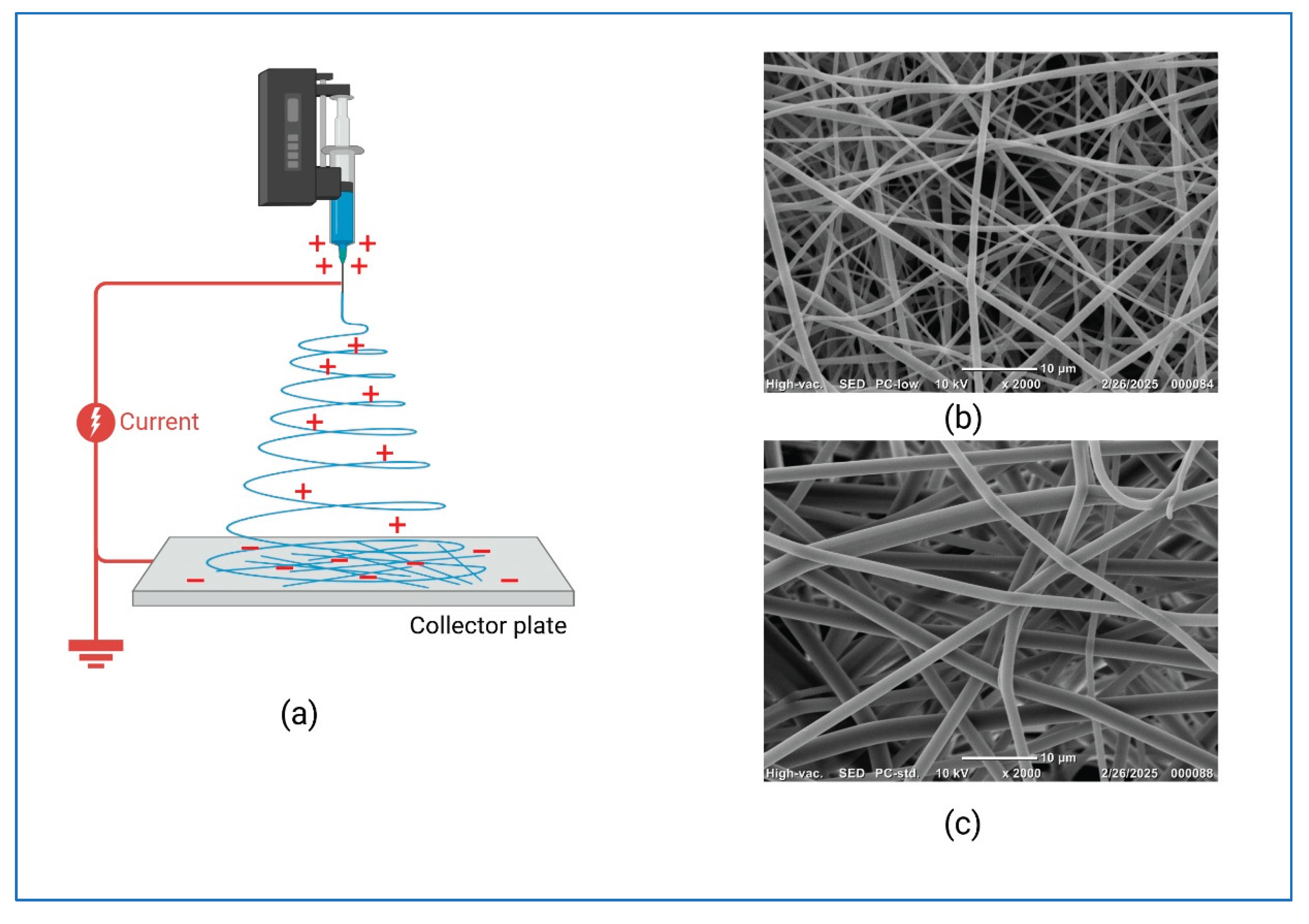 Preprints 189521 g004