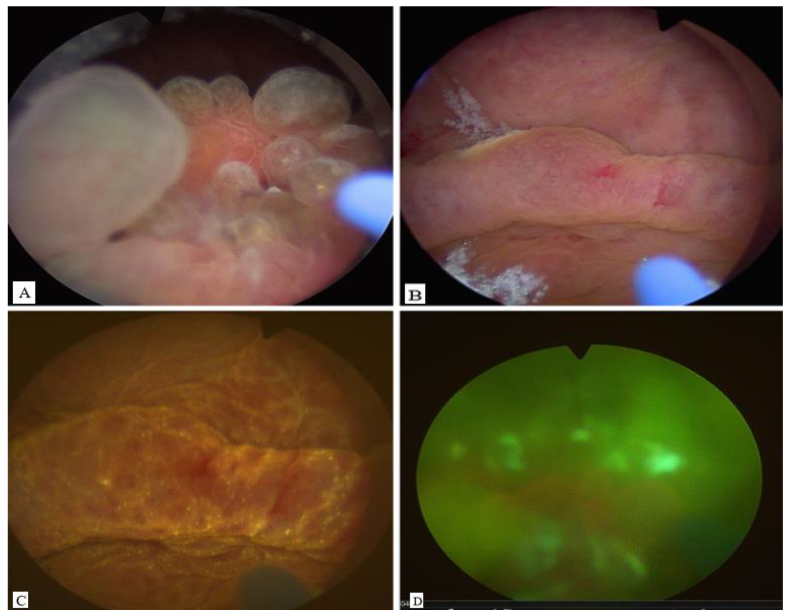 Preprints 164721 g001