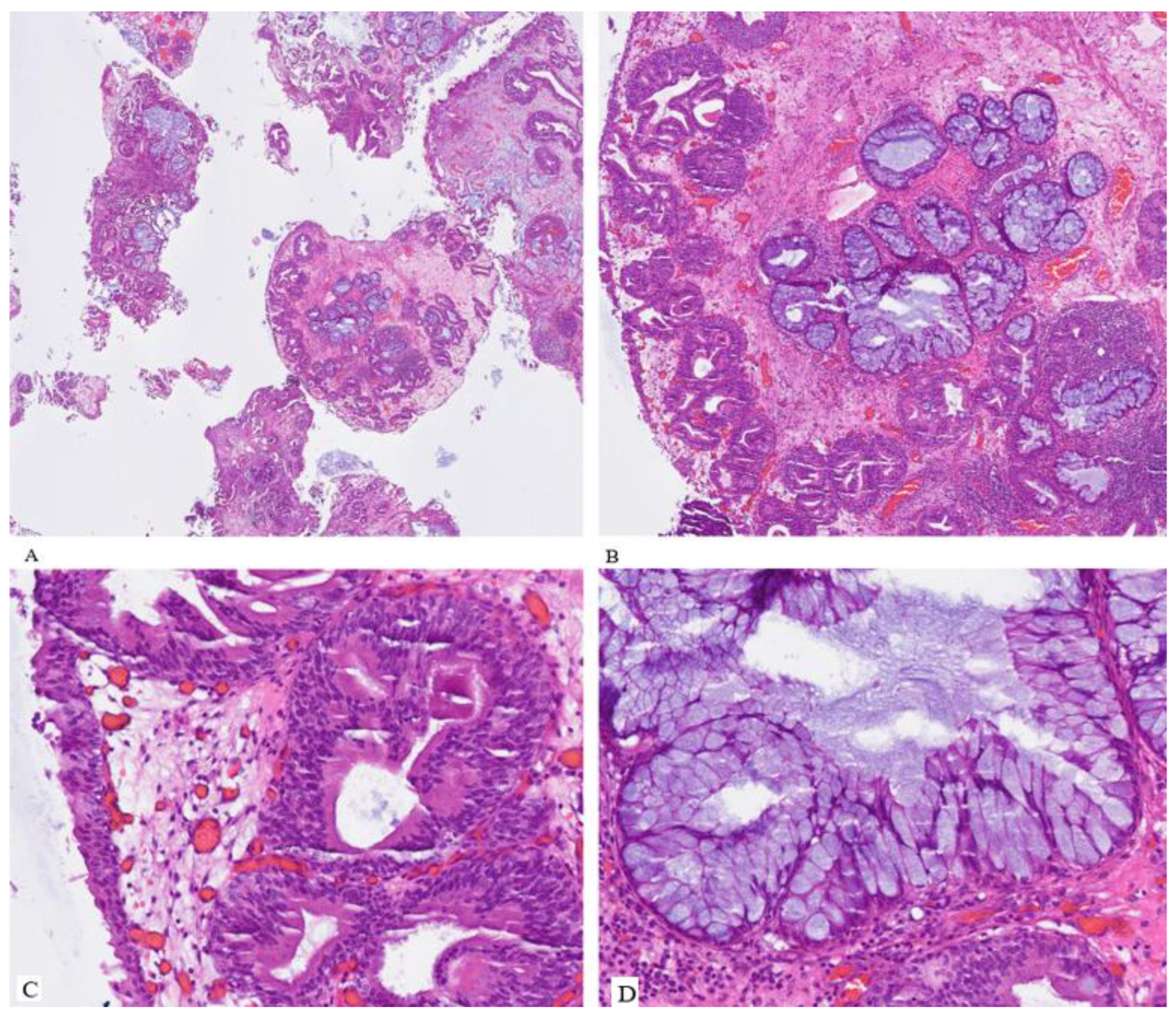 Preprints 164721 g002