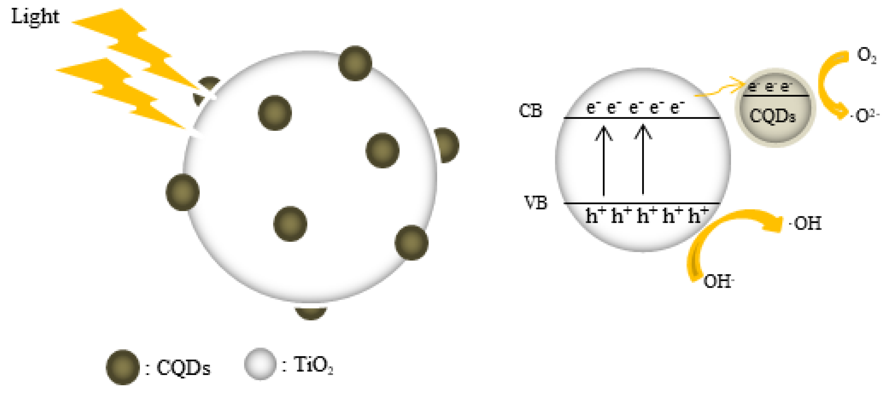 Preprints 103987 g007