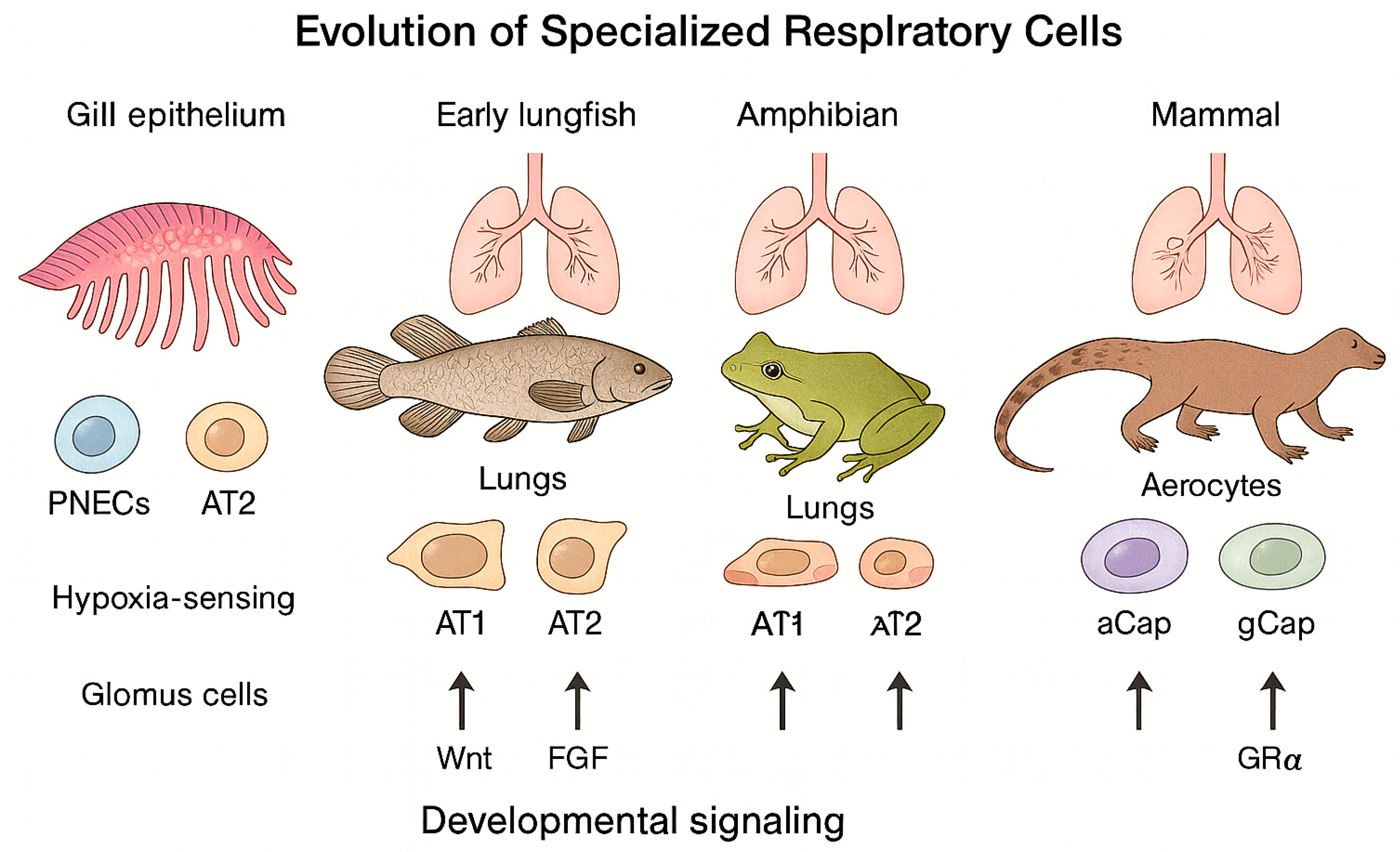 Preprints 193881 g001