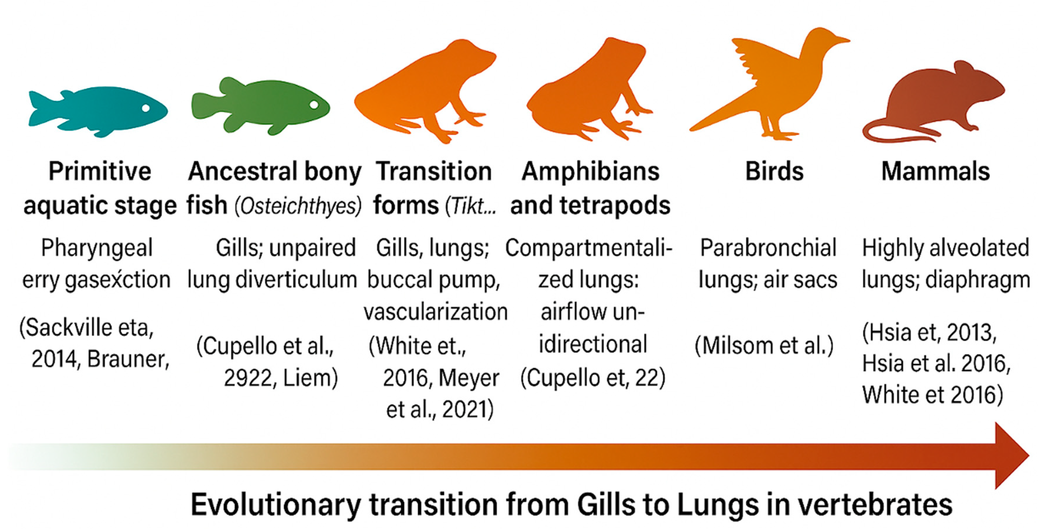 Preprints 193881 g003