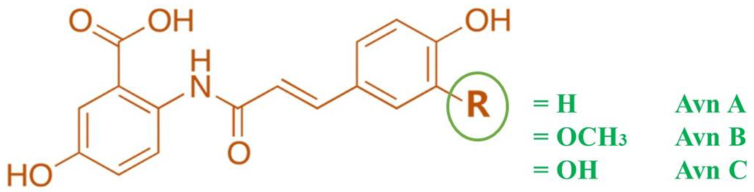 Preprints 81588 g001