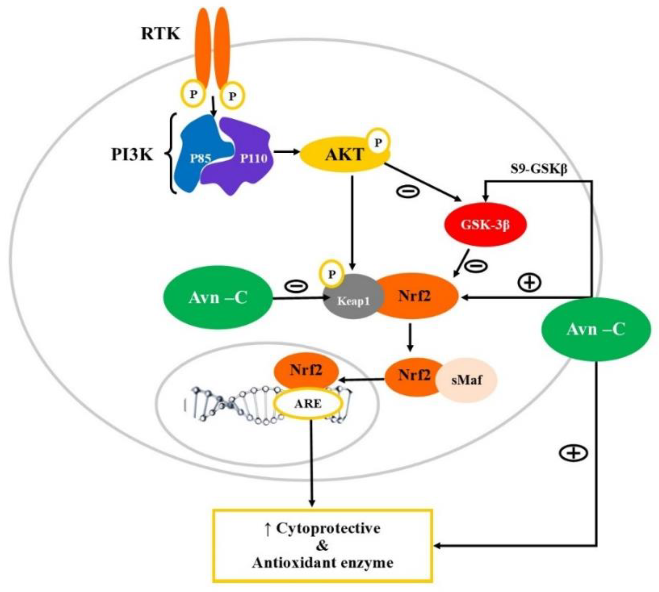 Preprints 81588 g002
