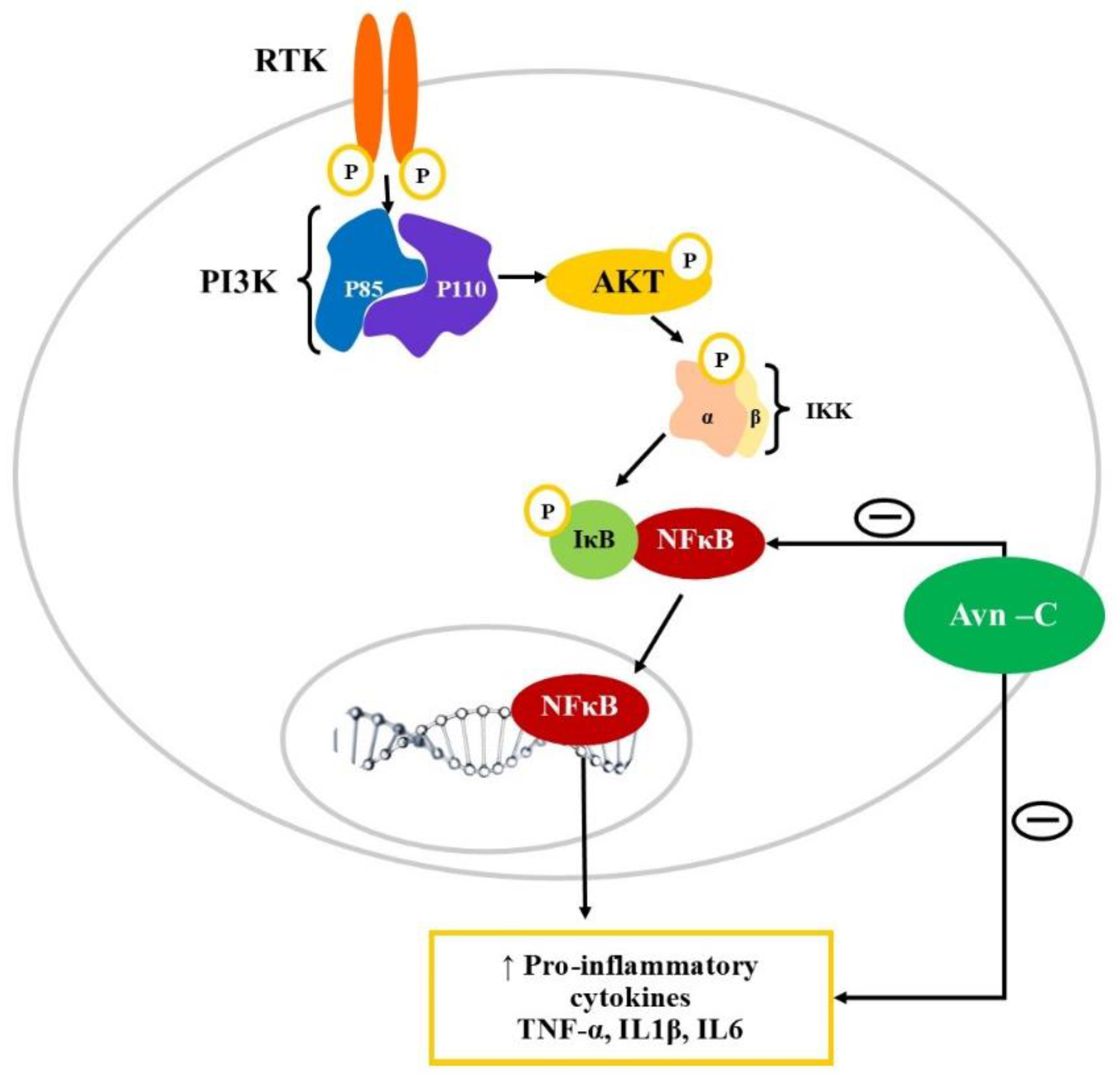 Preprints 81588 g003