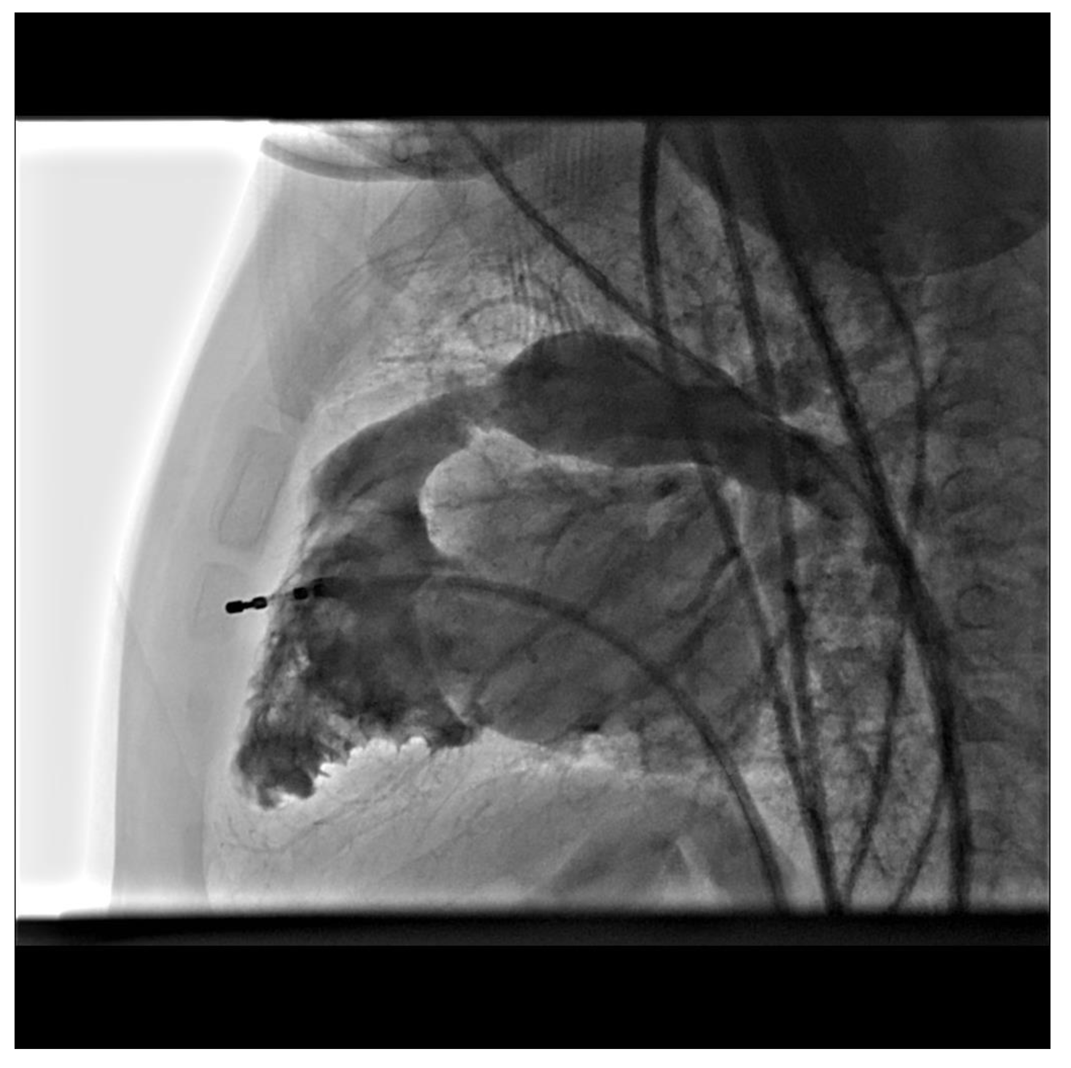 Preprints 101227 g002