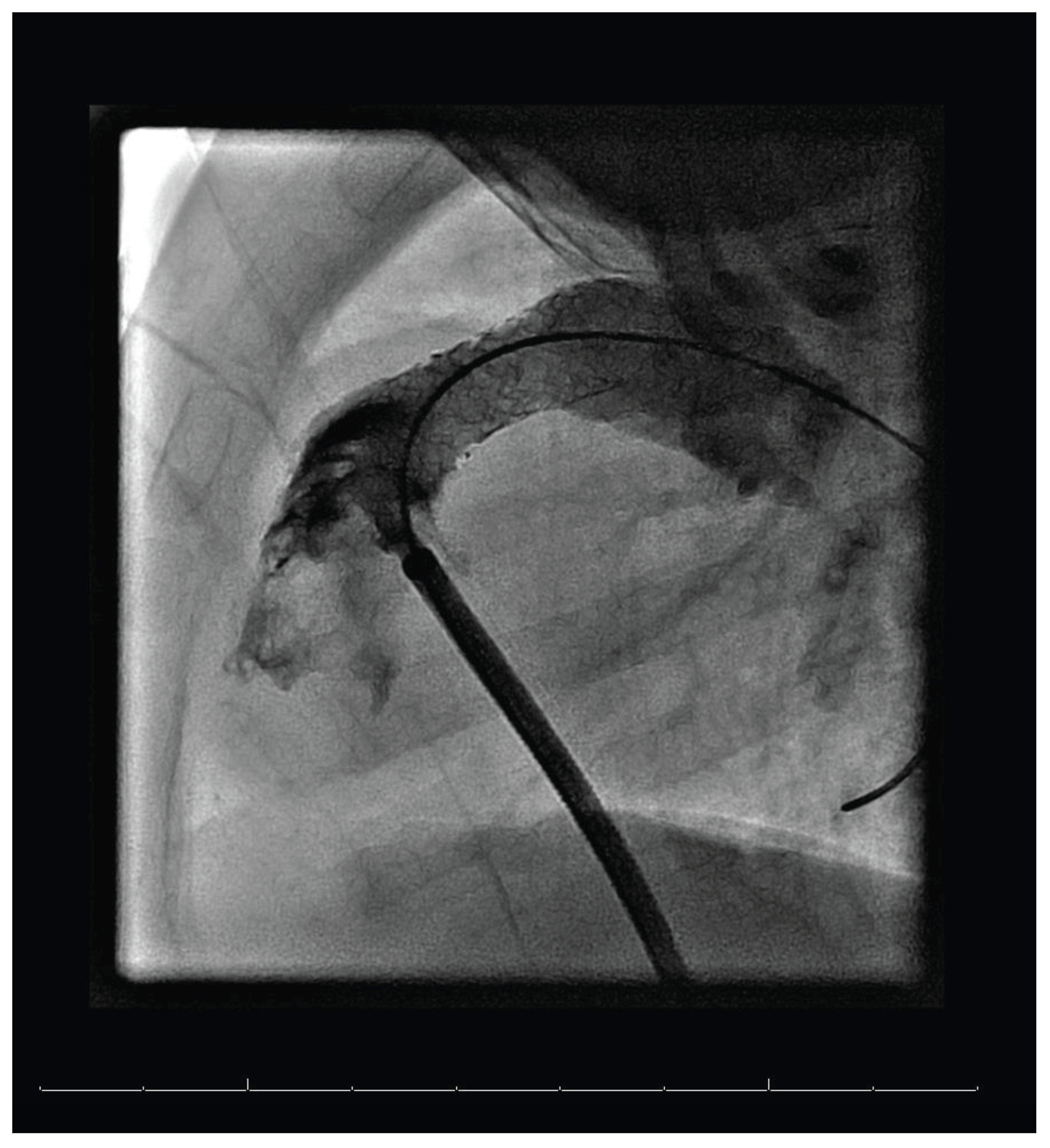 Preprints 101227 g003