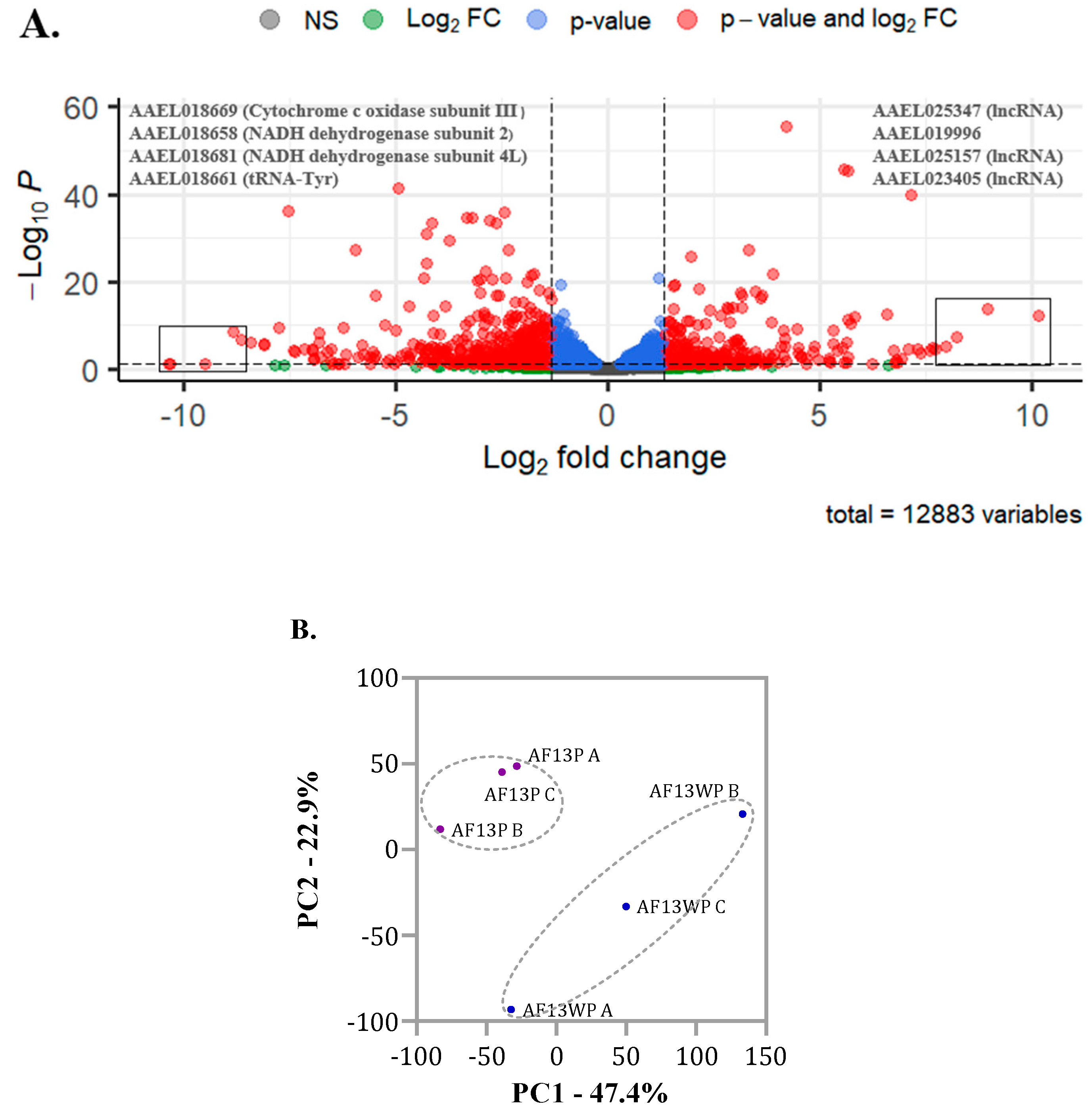 Preprints 143493 g004