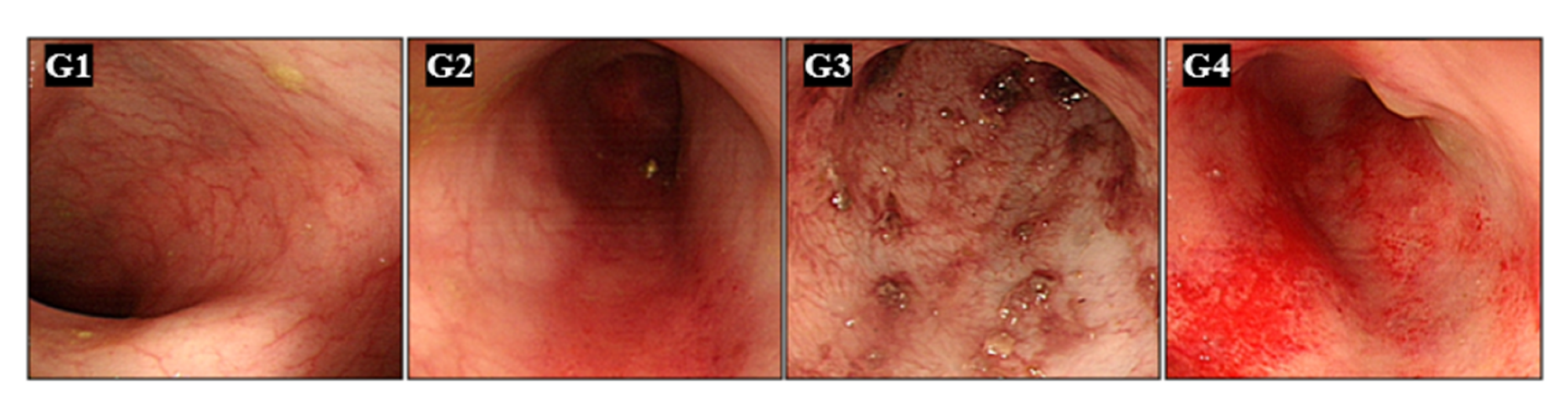 Preprints 166422 g003