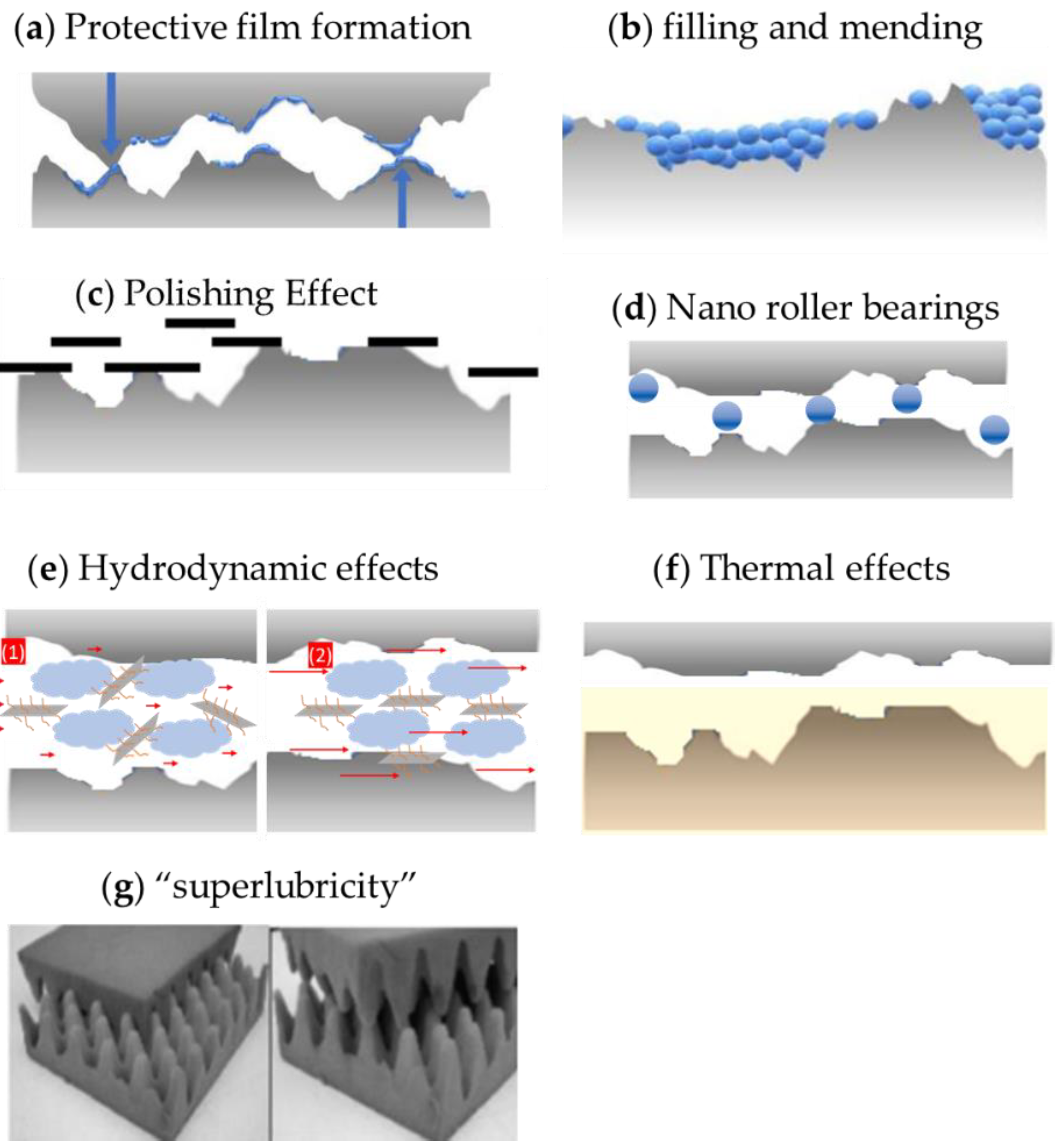 Preprints 145685 g001