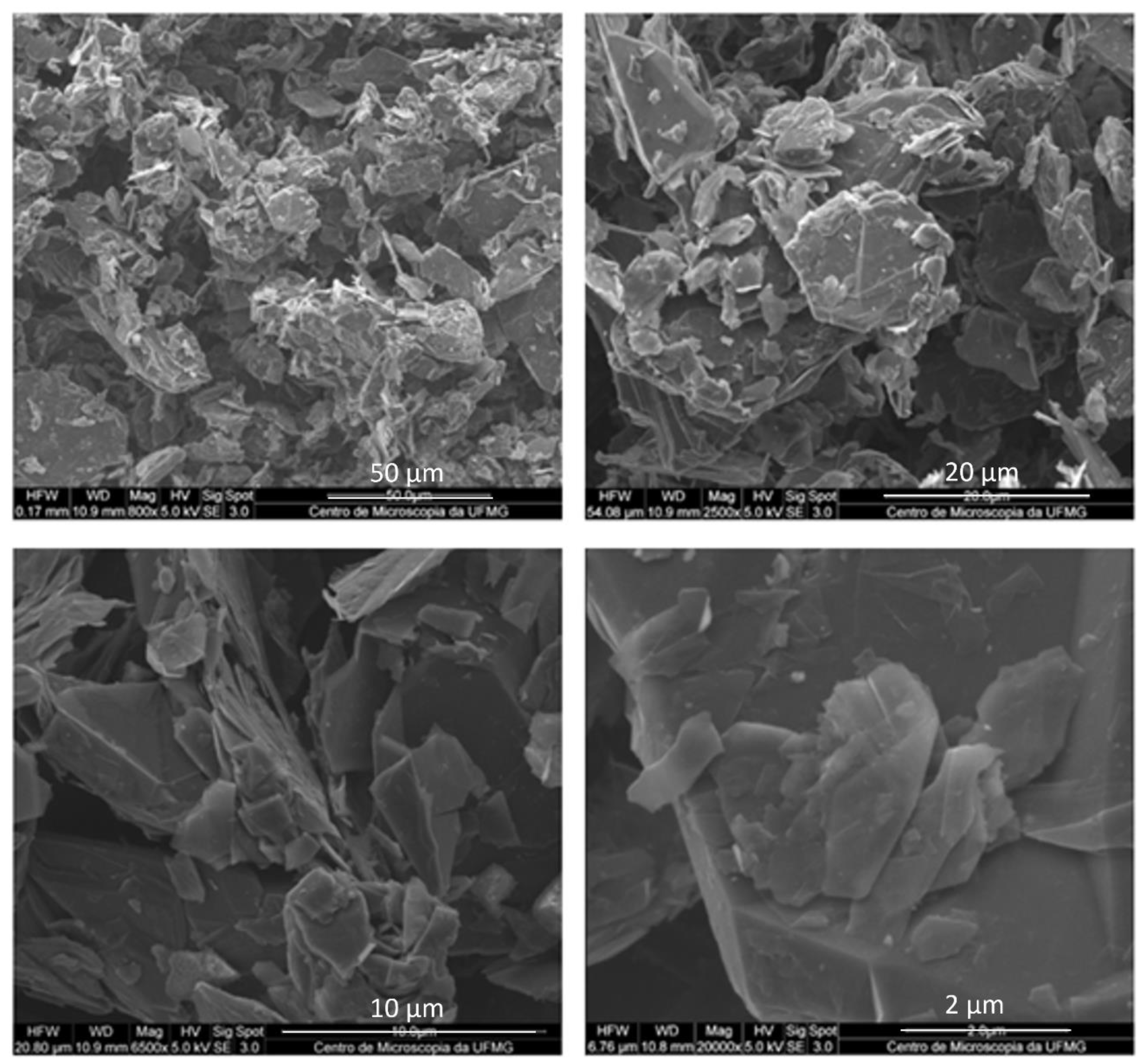 Preprints 145685 g004