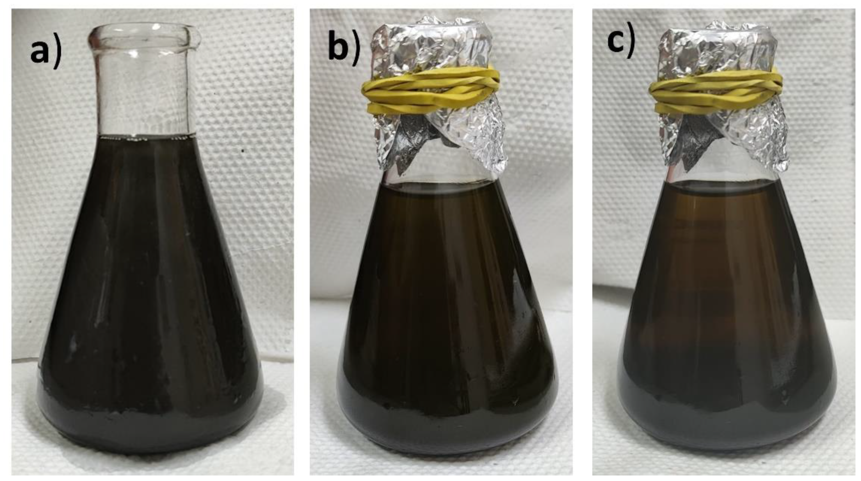 Preprints 145685 g006