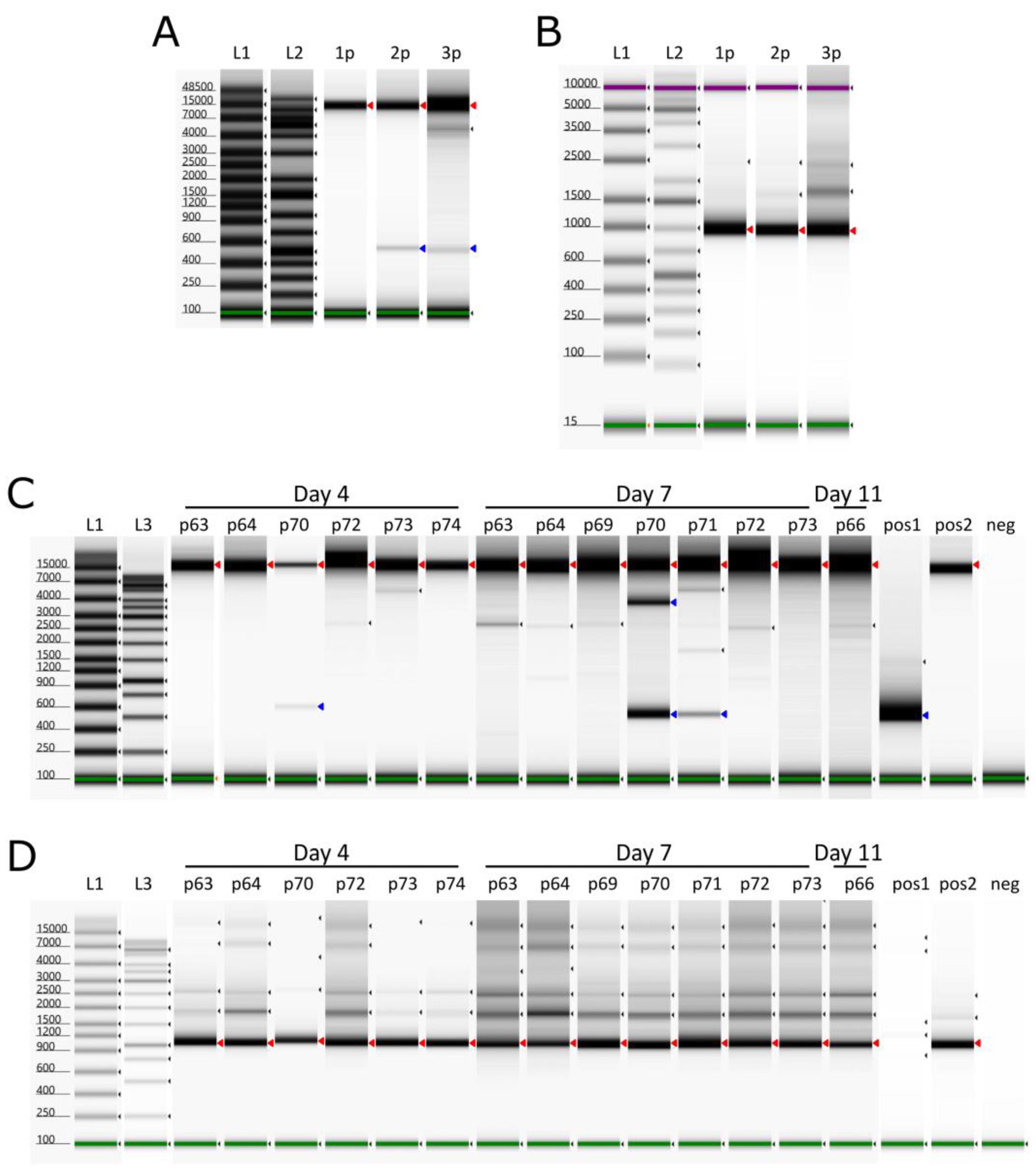 Preprints 142819 g004