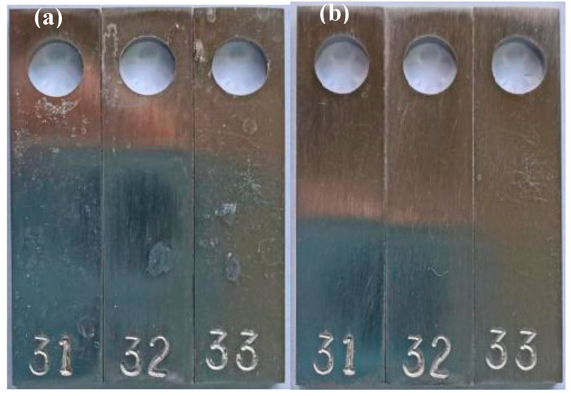 Preprints 115886 g003