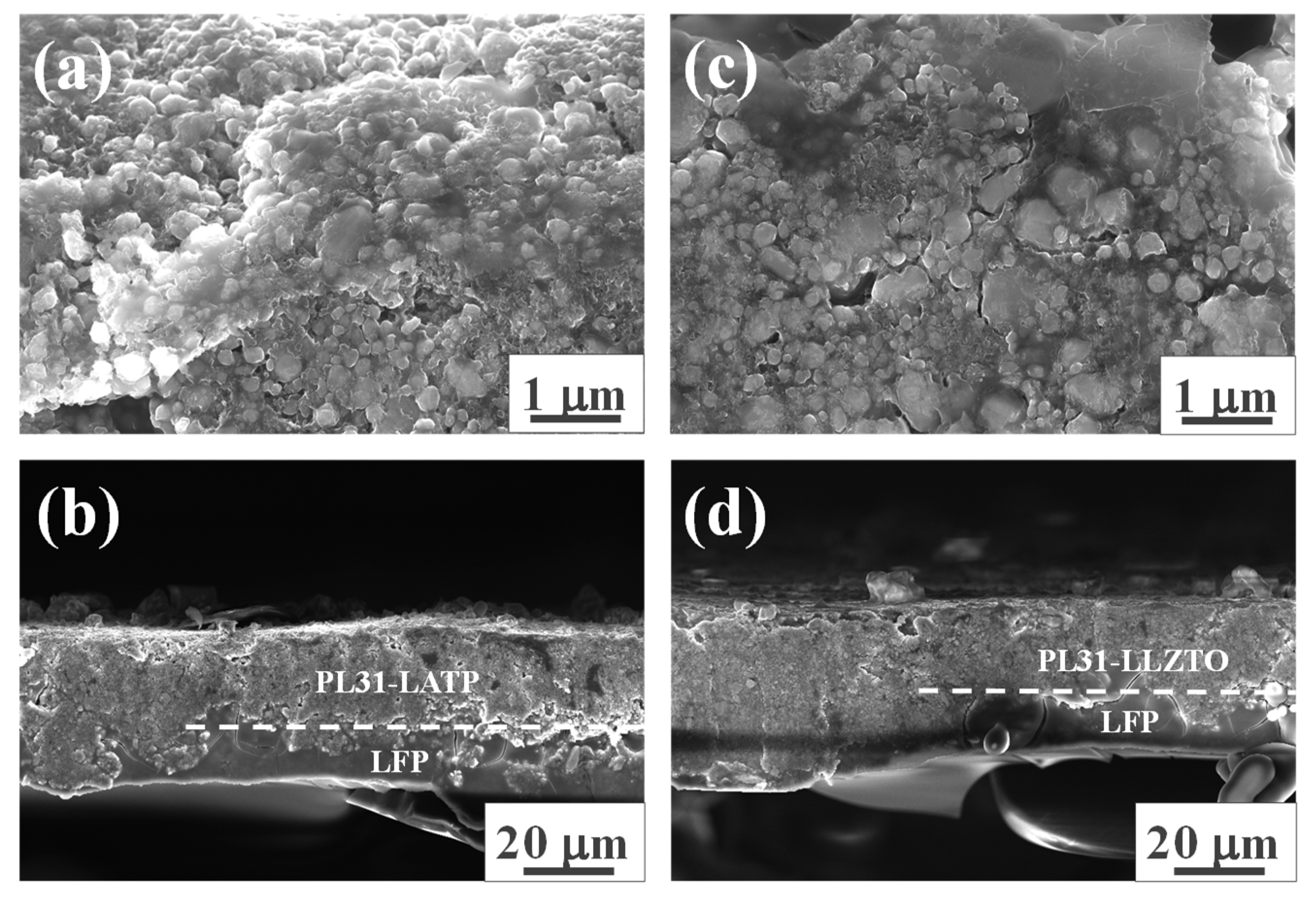 Preprints 83534 g001