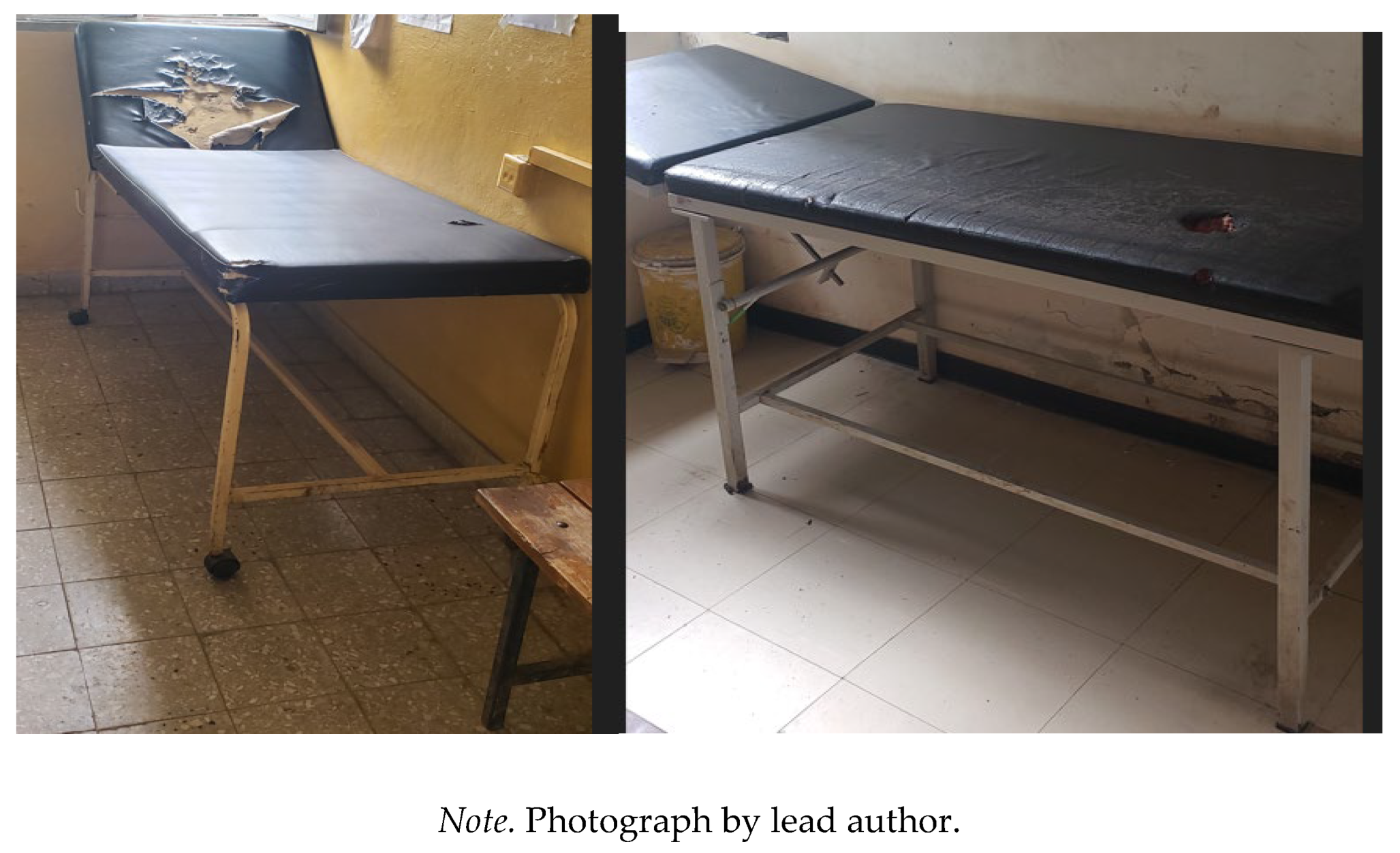 Preprints 187132 g003