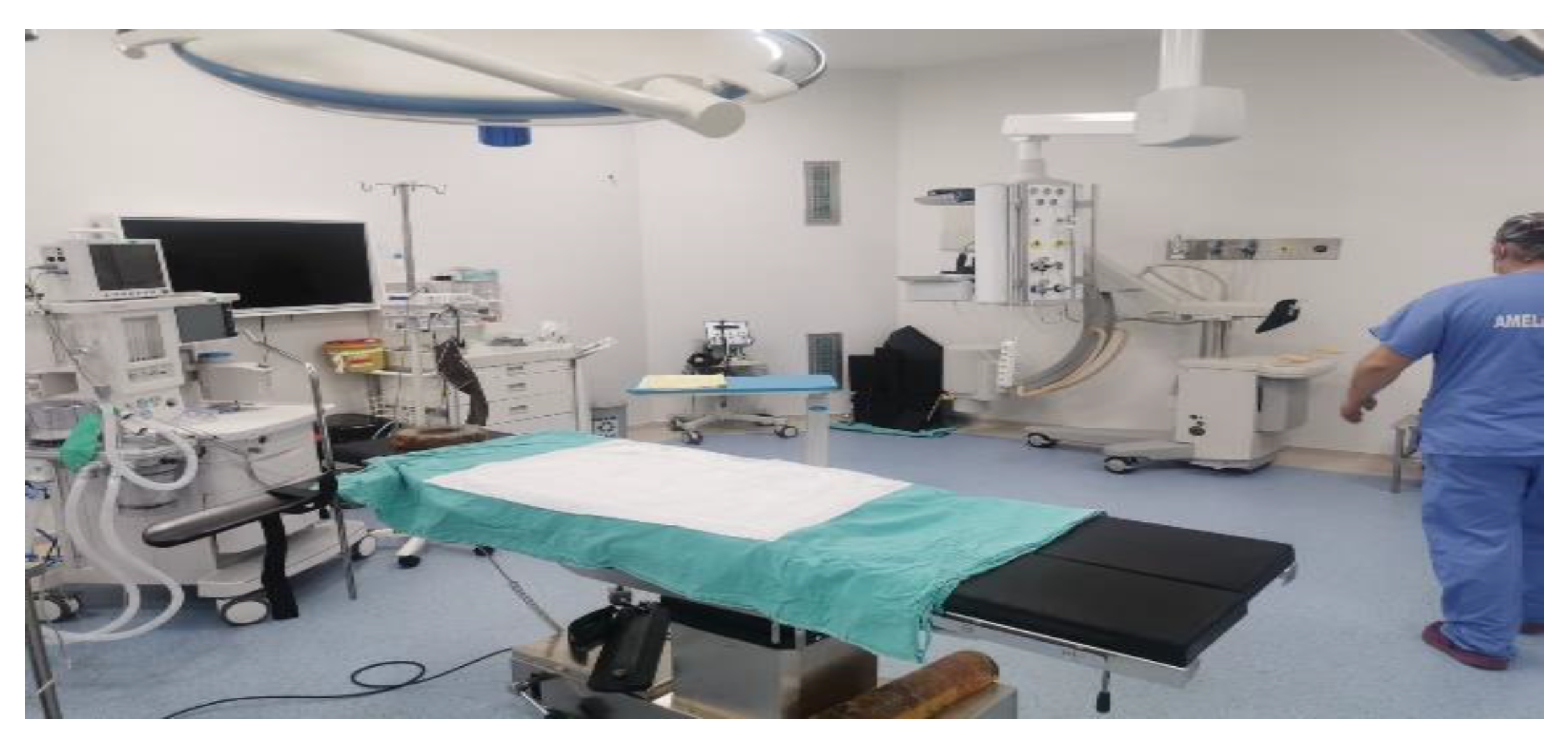 Preprints 170029 g001