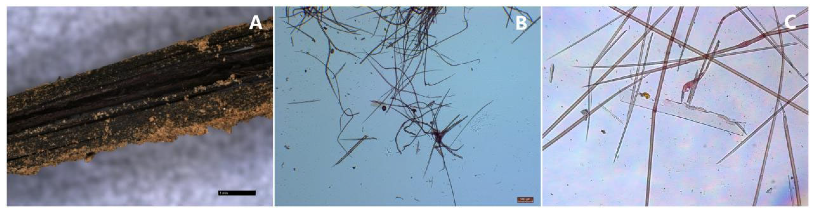 Preprints 175493 g003