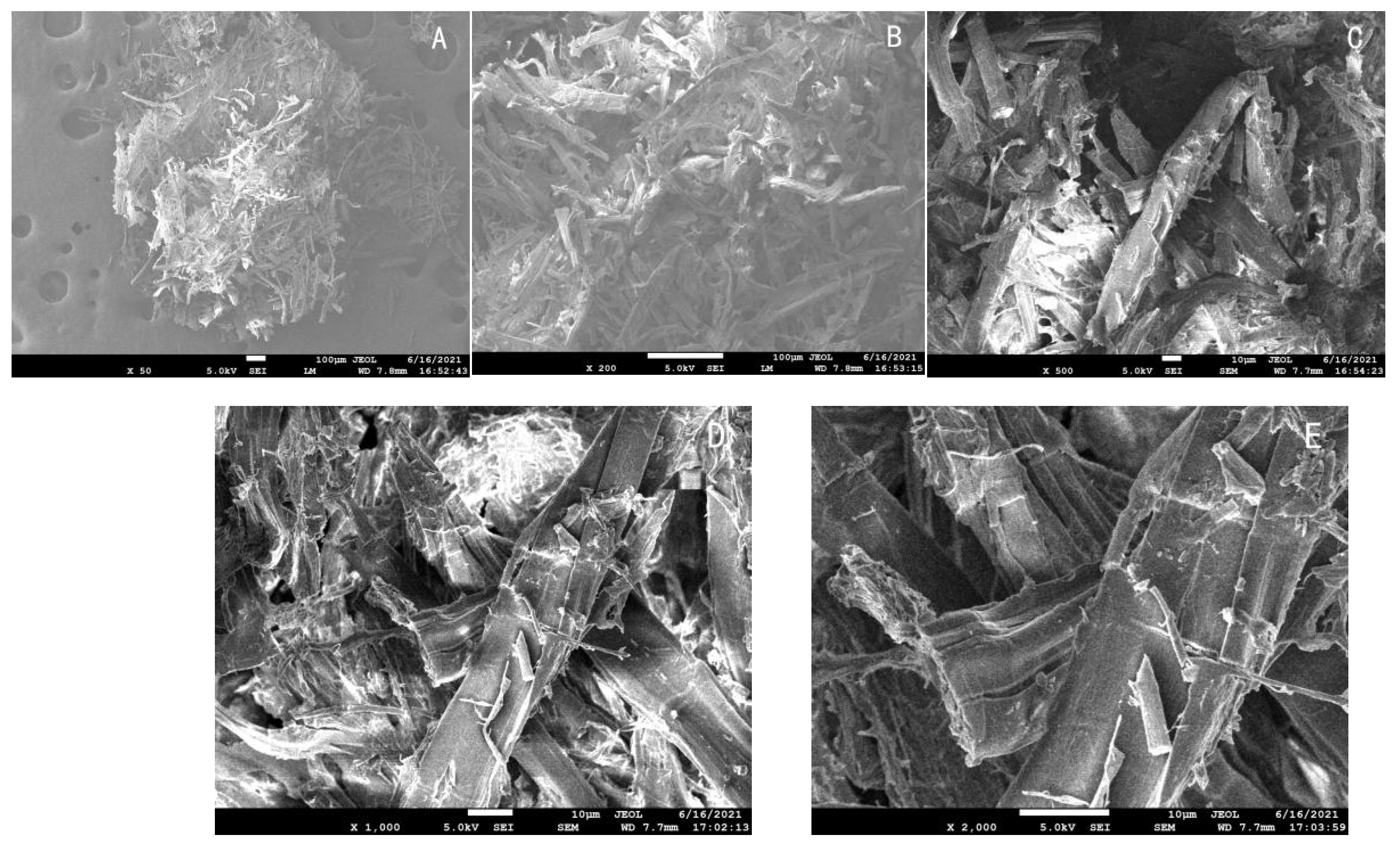 Preprints 175493 g006