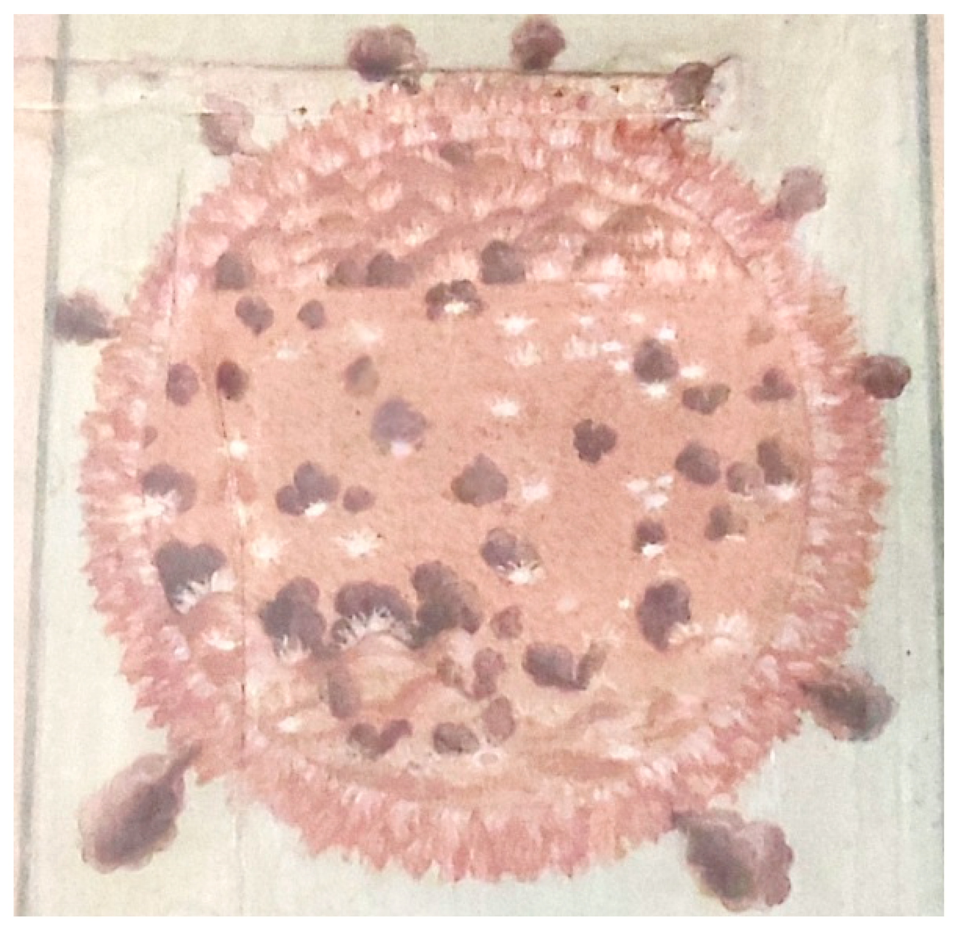 Preprints 162541 g009