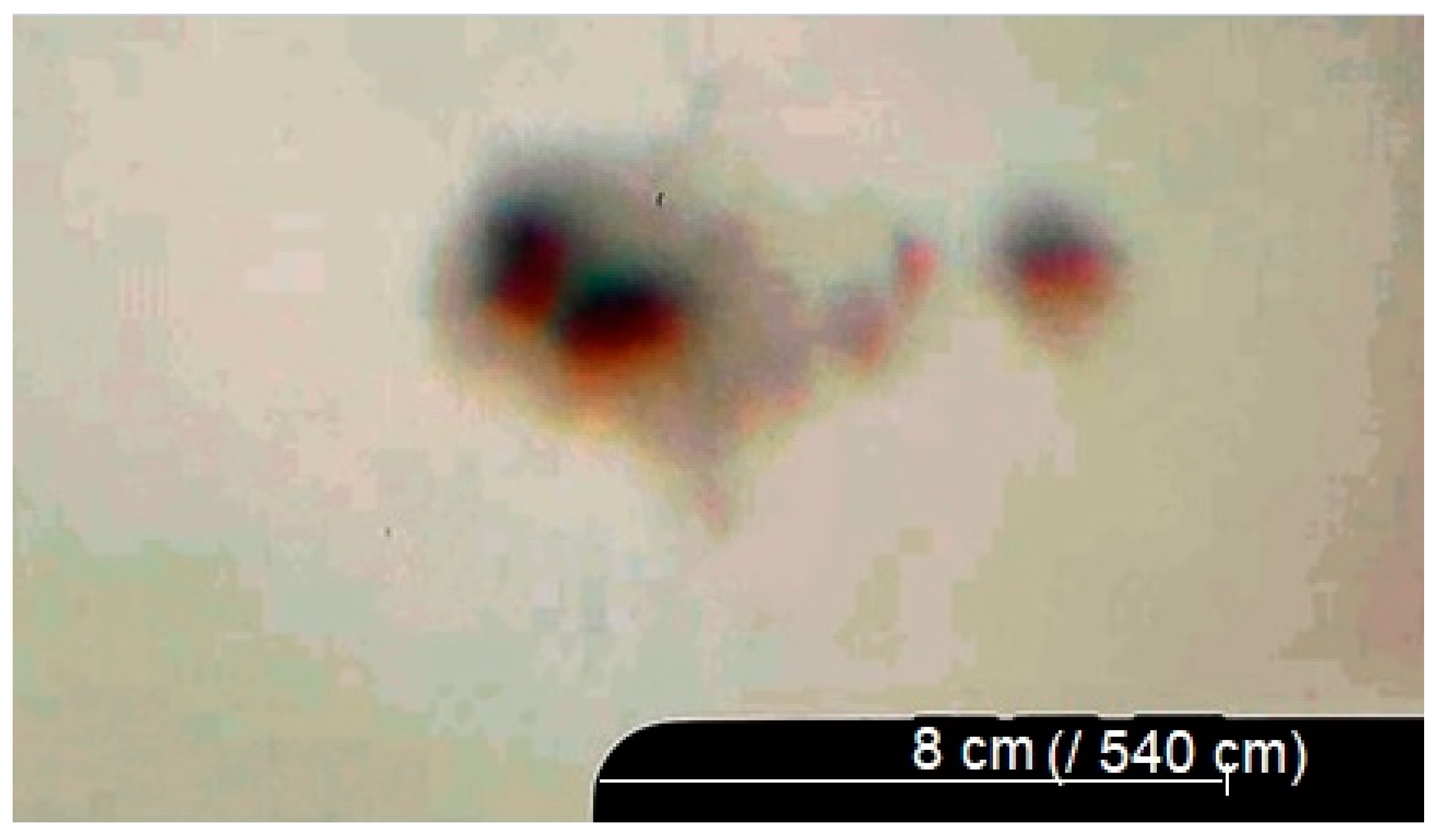 Preprints 162541 g014