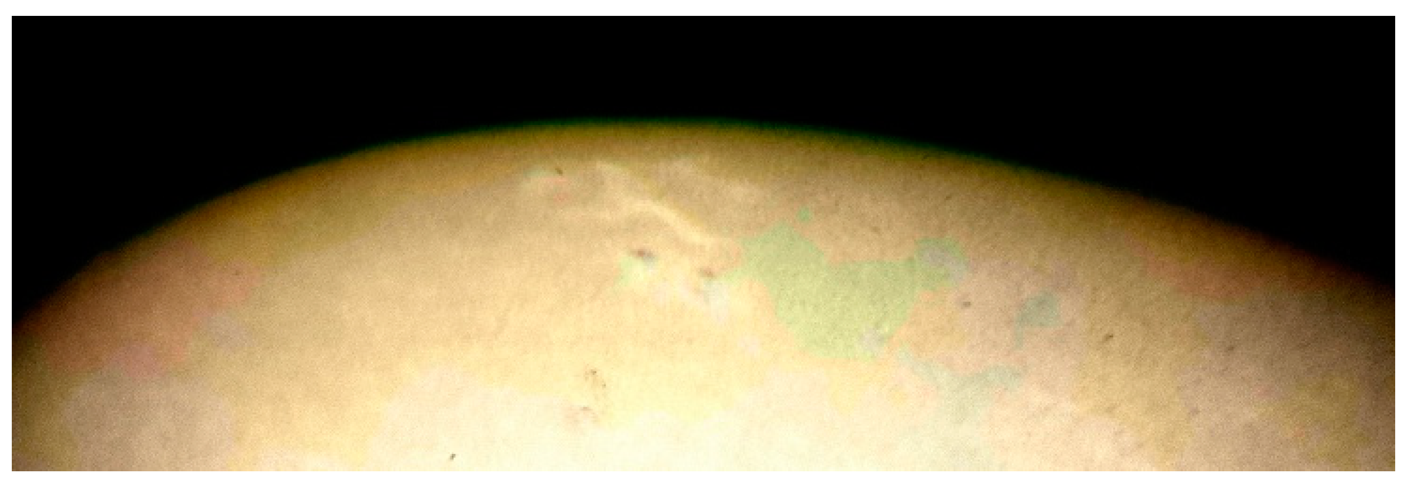 Preprints 162541 g015