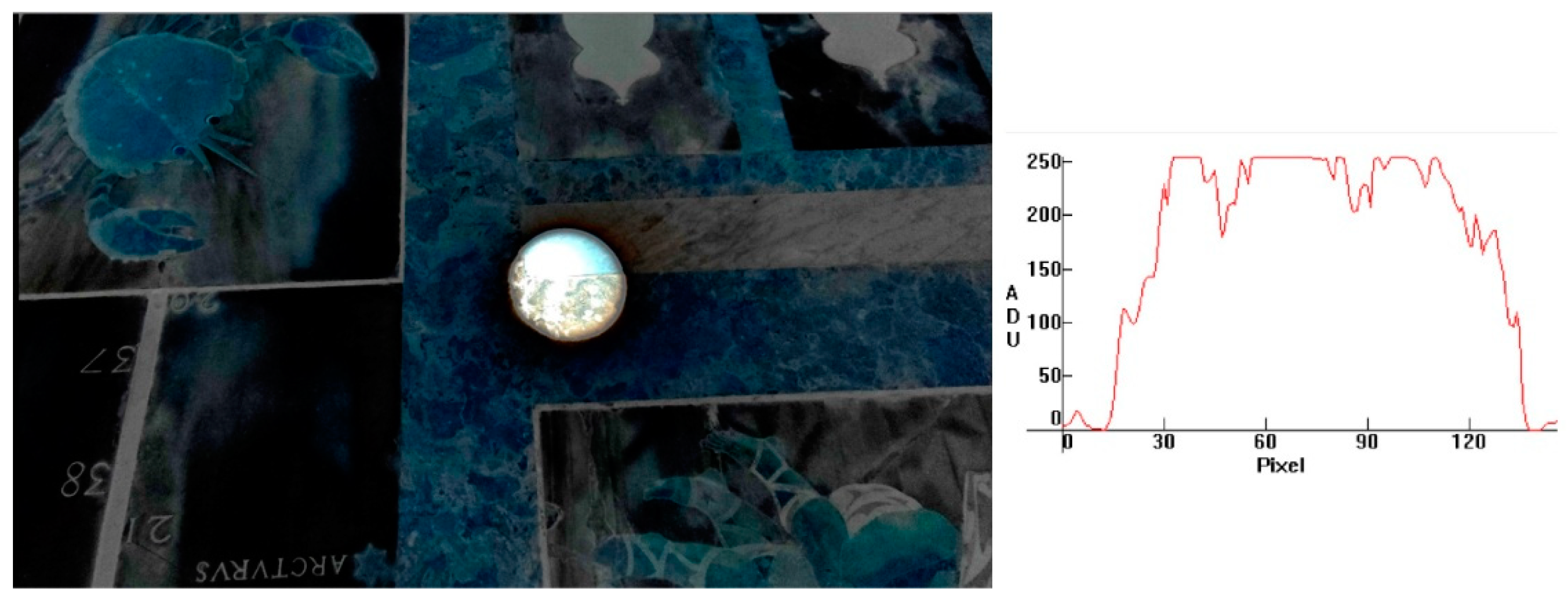 Preprints 162541 g018