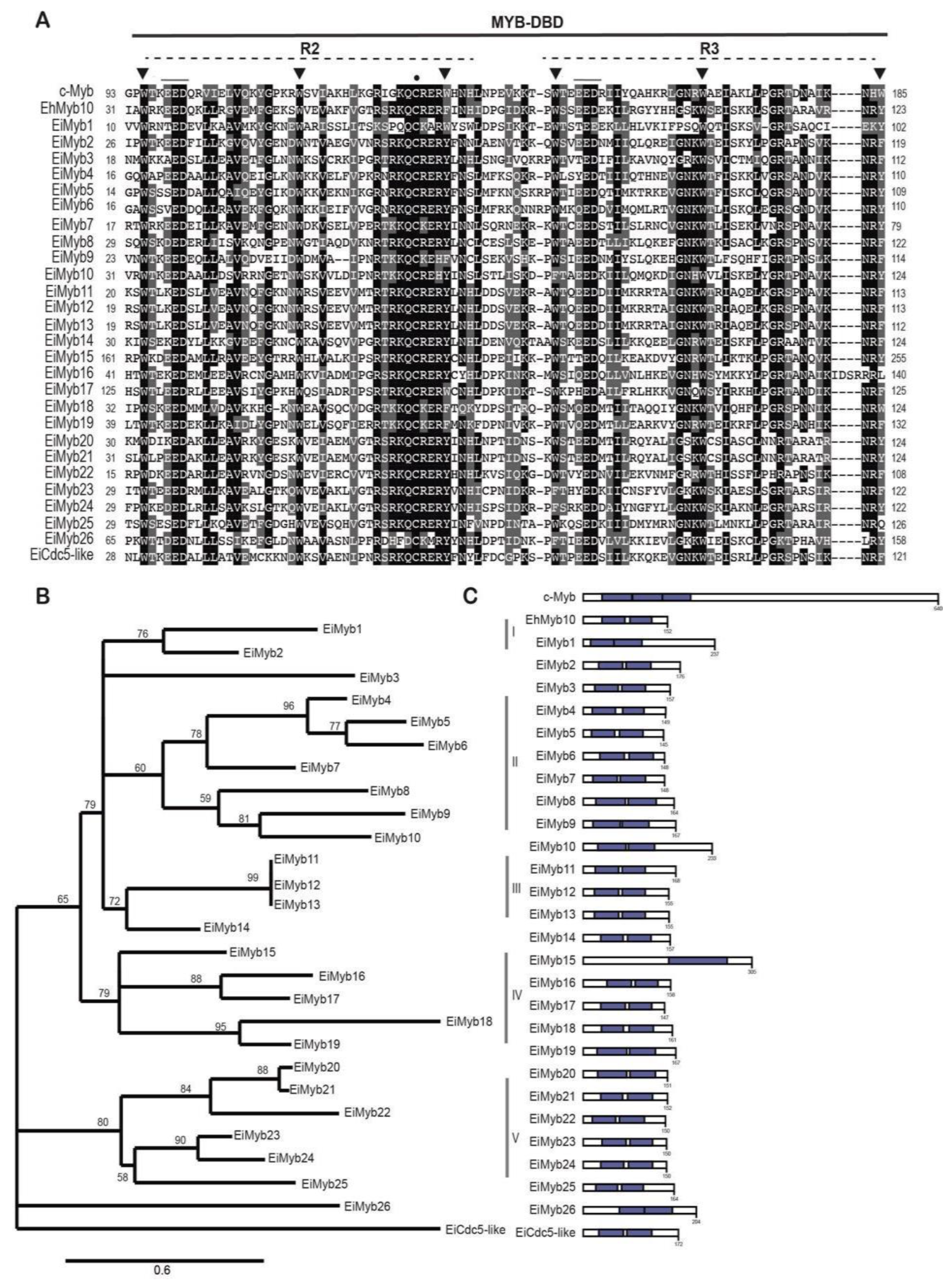 Preprints 94969 g003