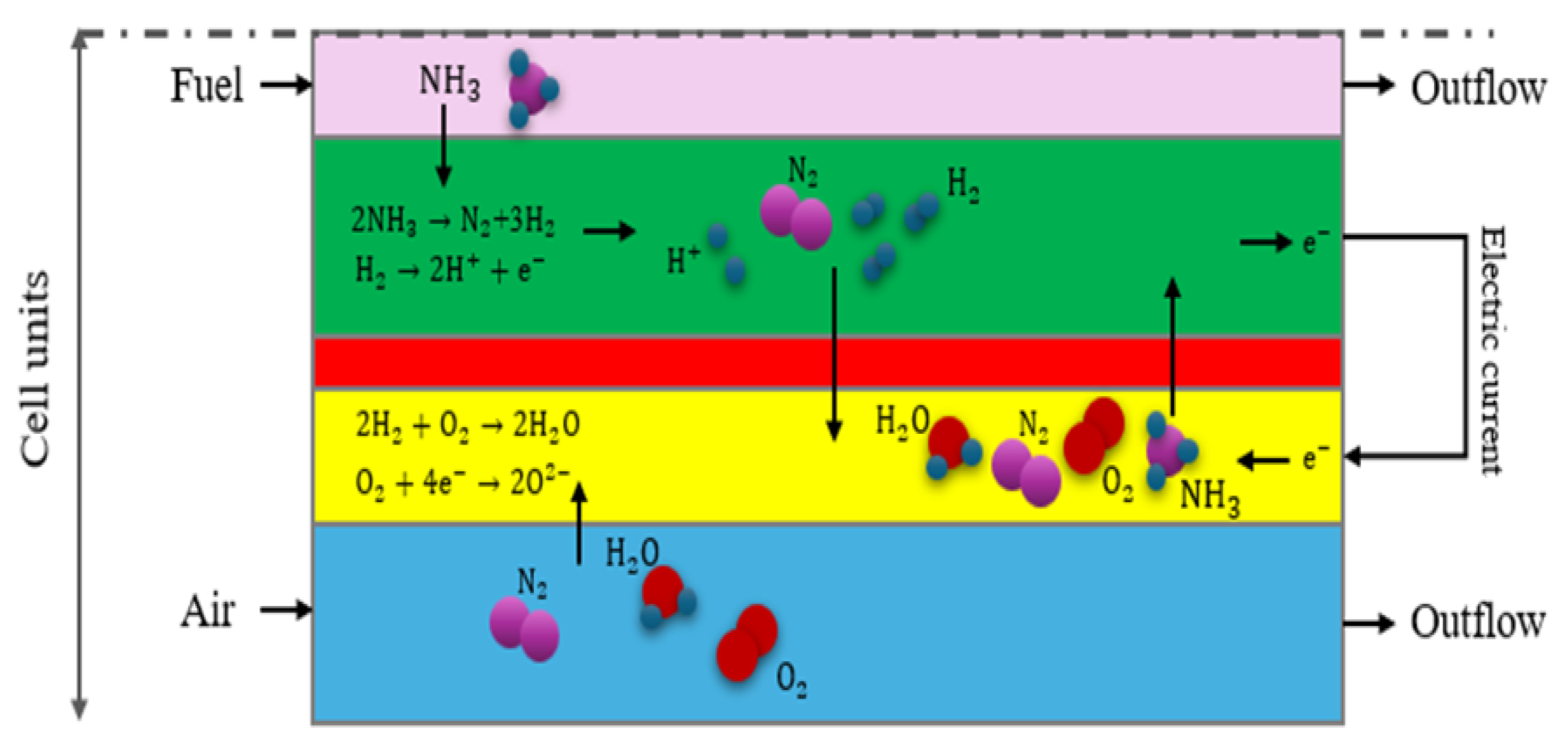 Preprints 146160 g002