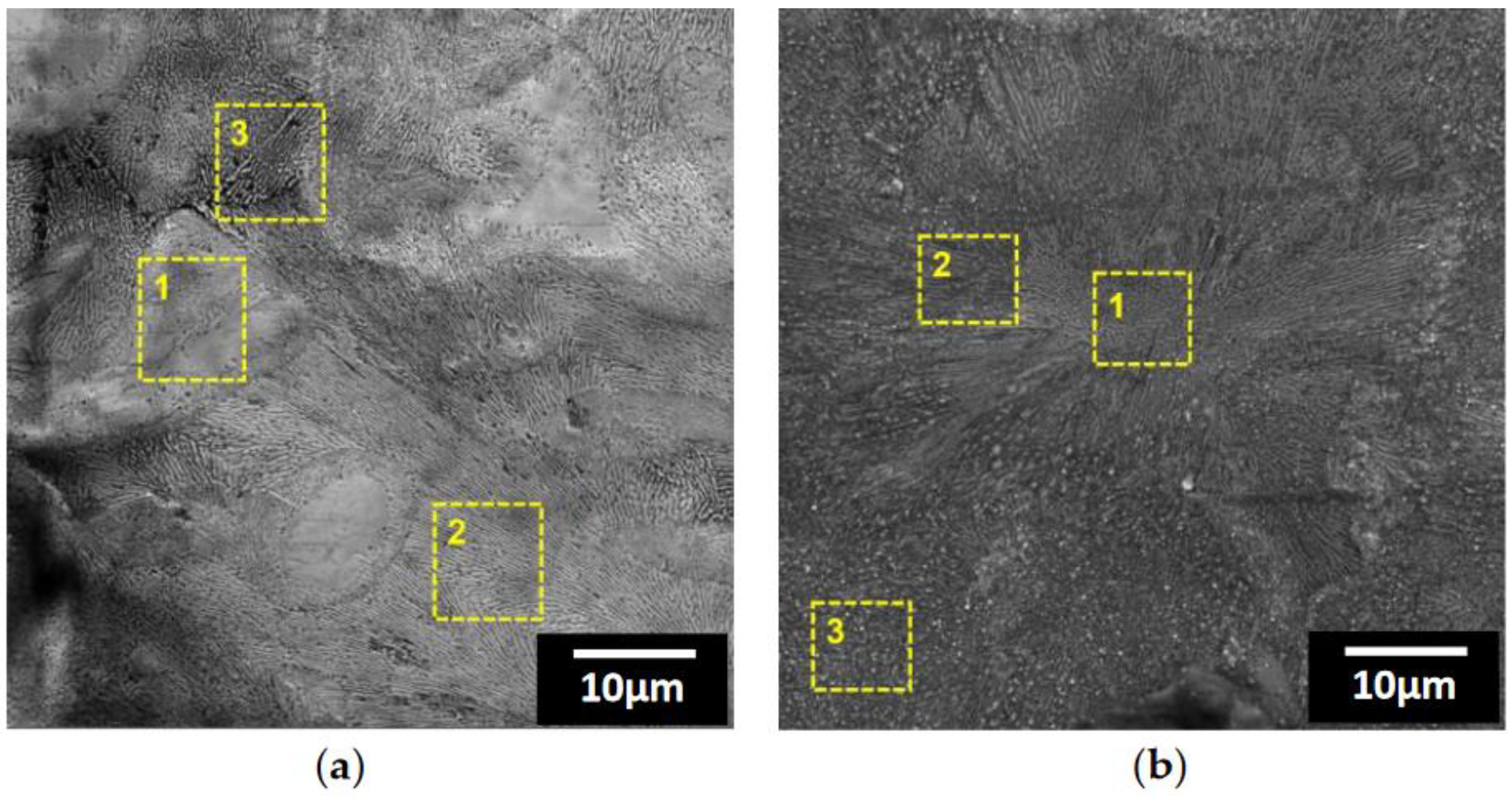 Preprints 92729 g003
