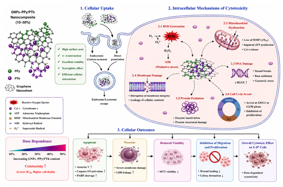Preprints 217547 g012