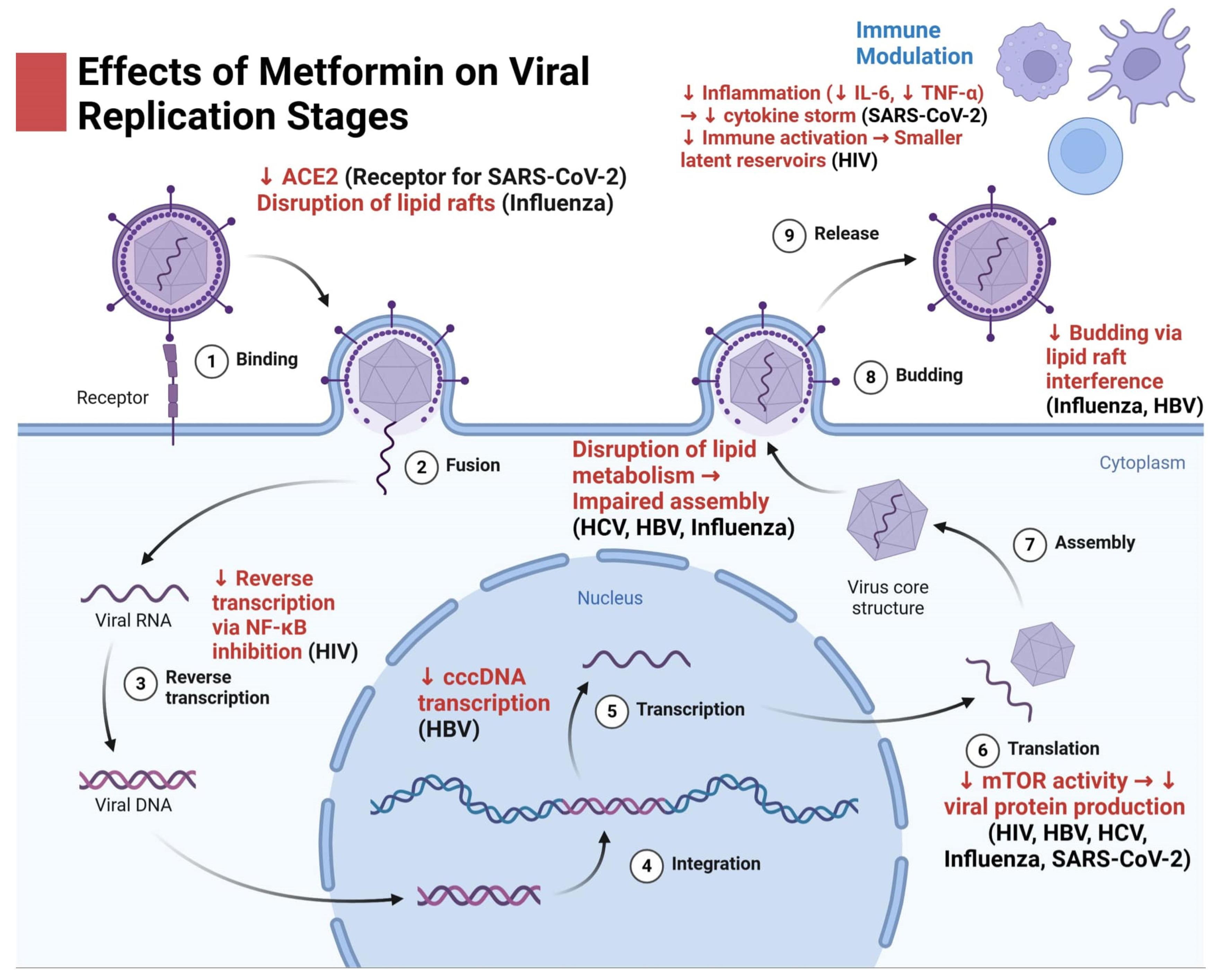 Preprints 142249 g001