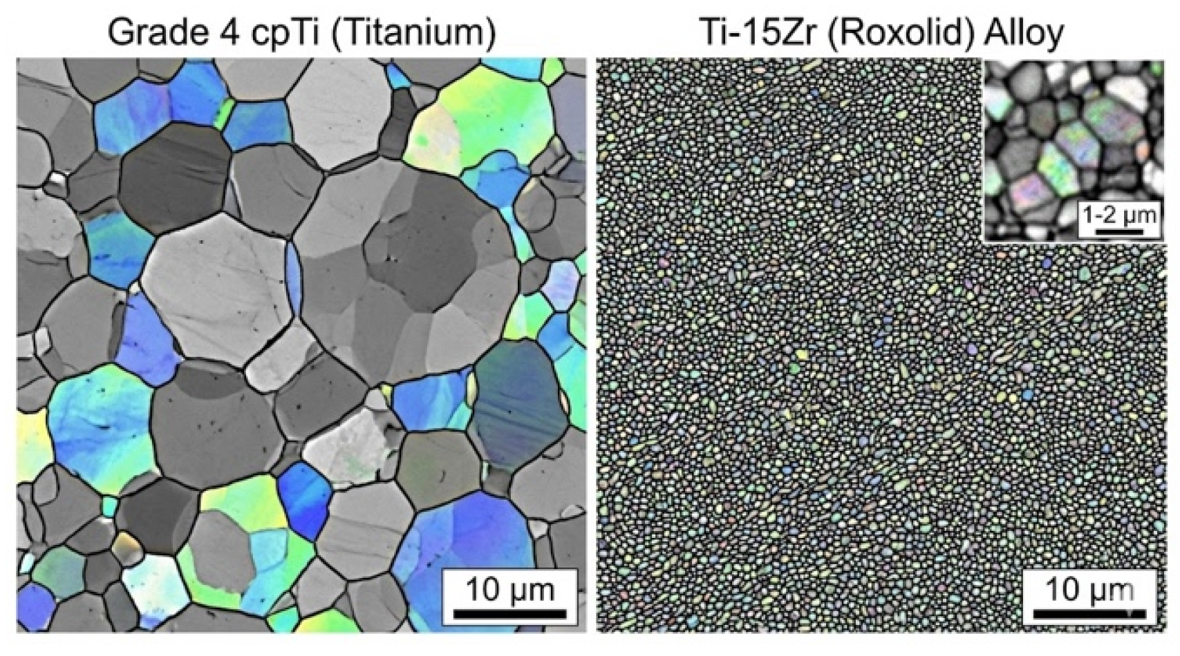 Preprints 214030 g001