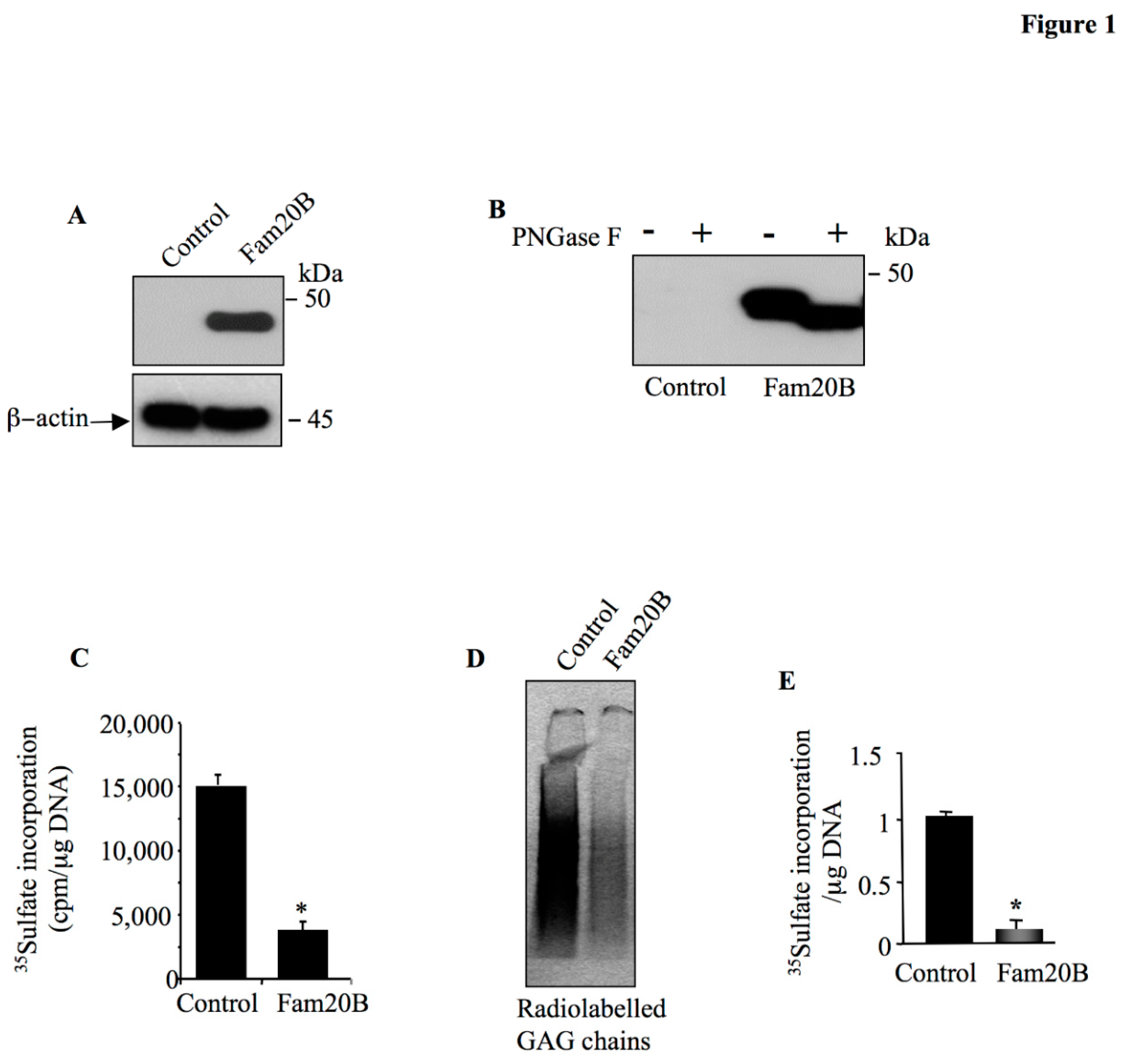 Preprints 155906 g001