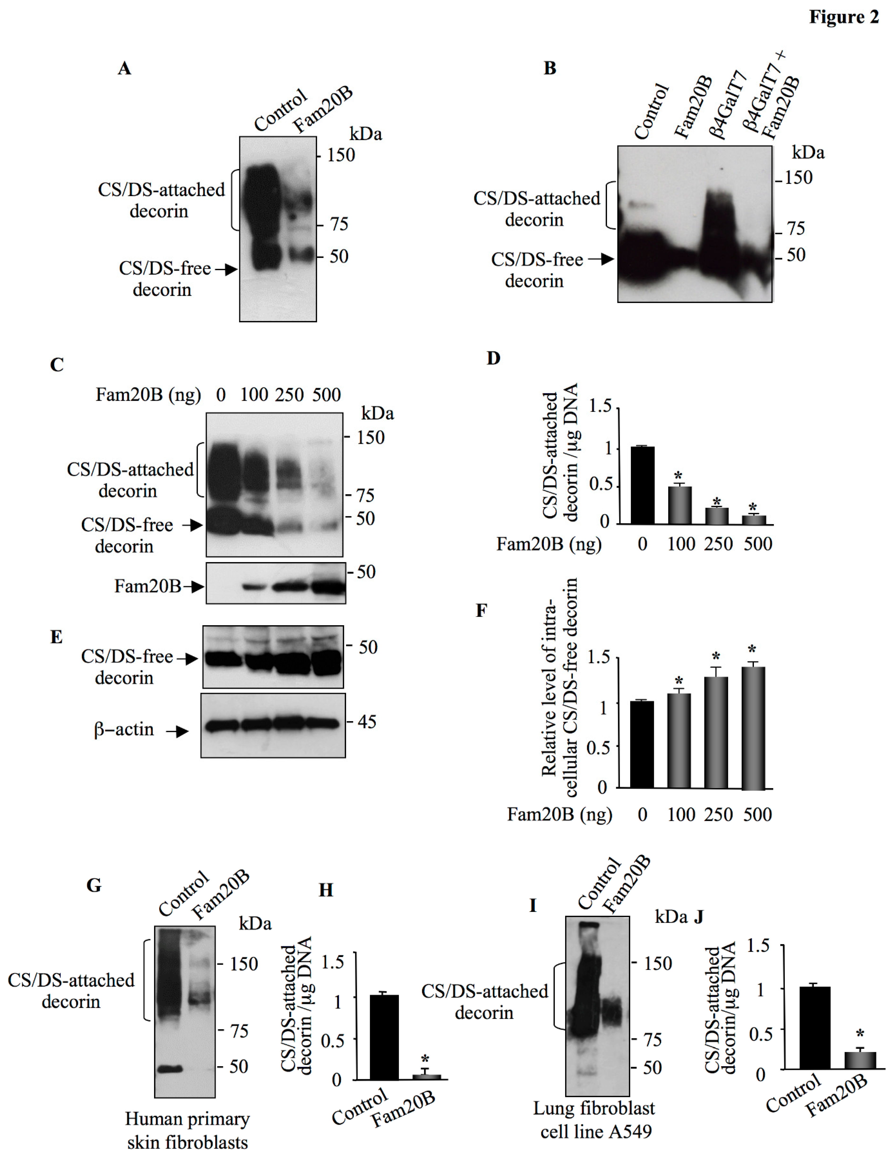 Preprints 155906 g002