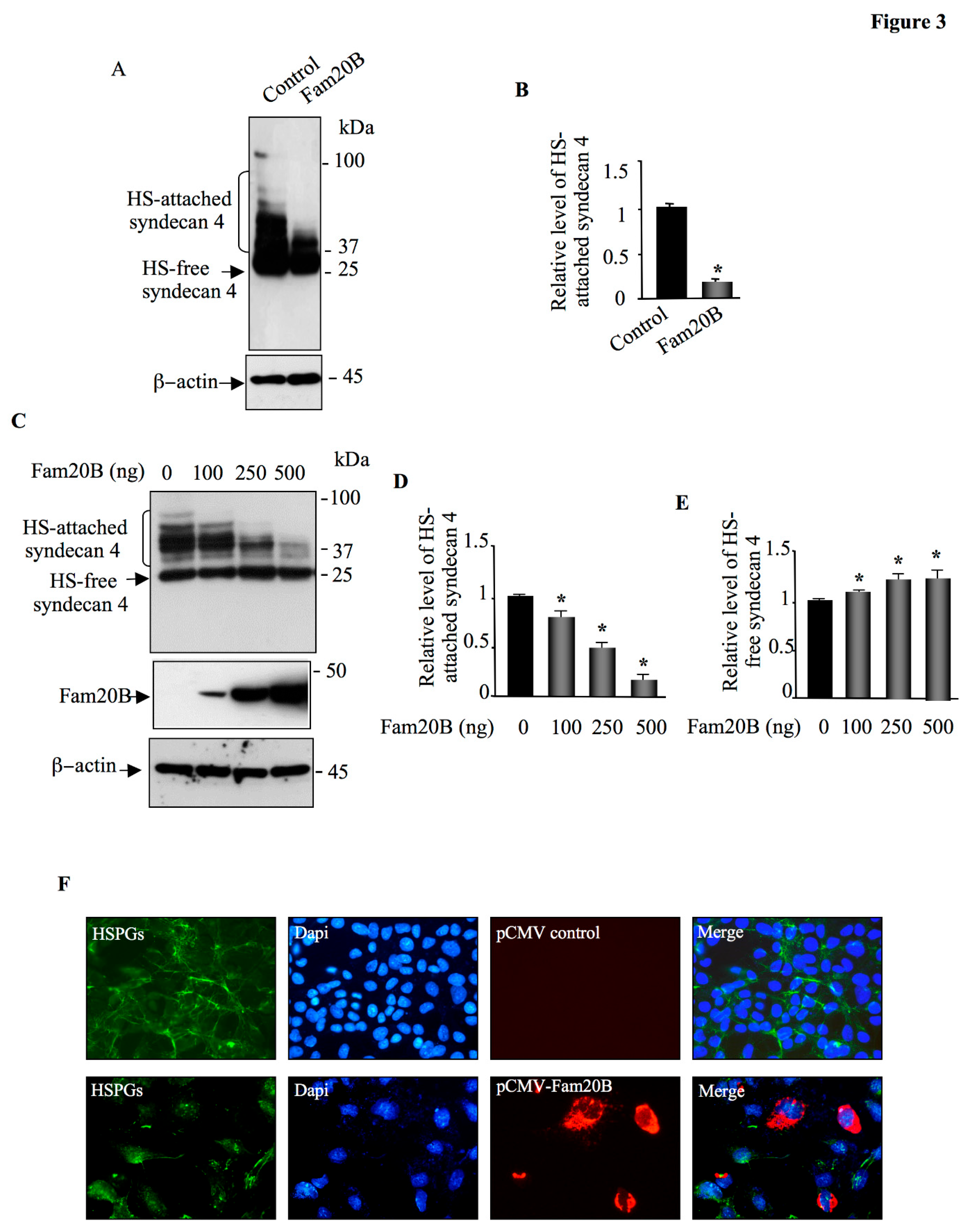 Preprints 155906 g003