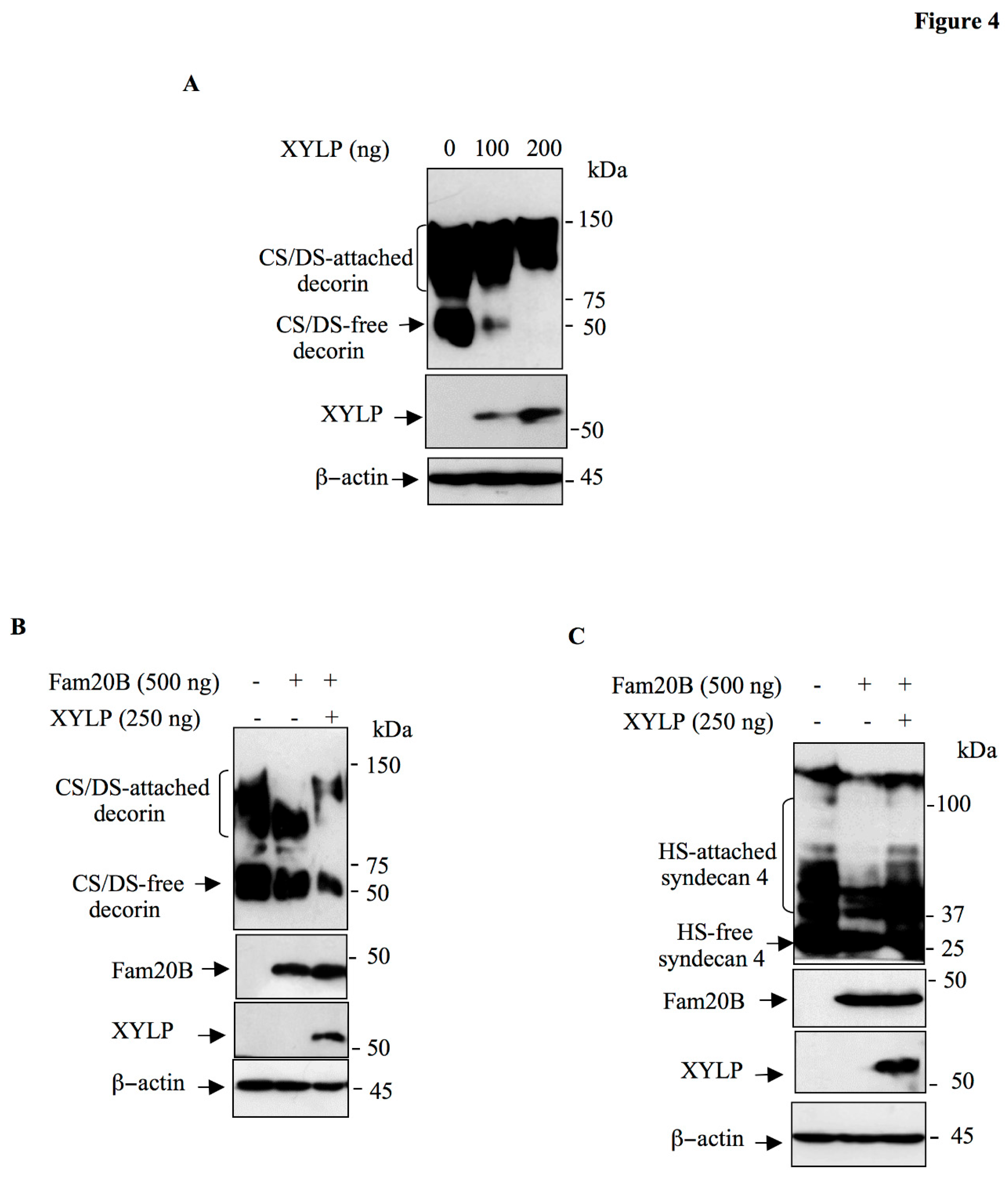 Preprints 155906 g004