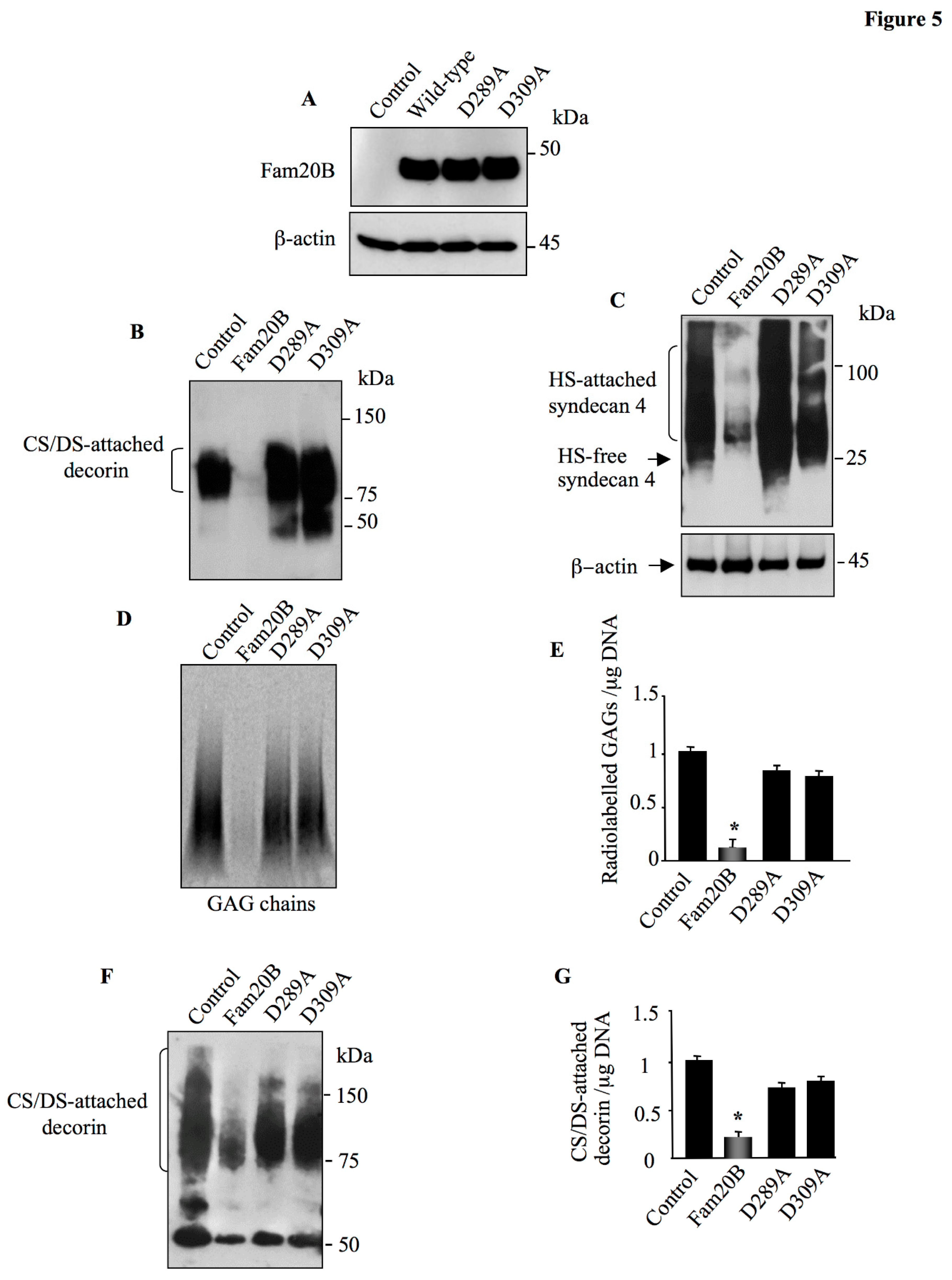Preprints 155906 g005