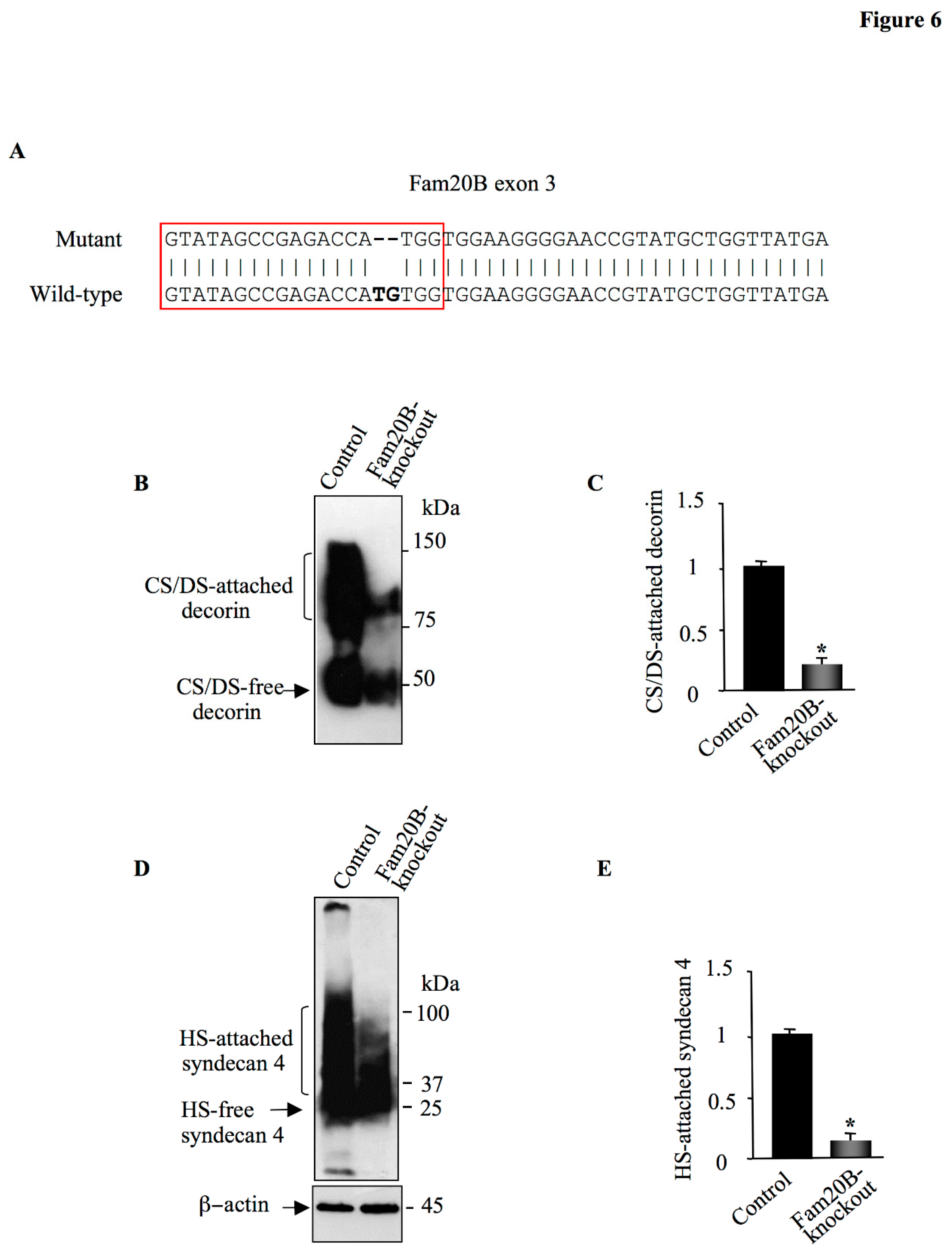 Preprints 155906 g006