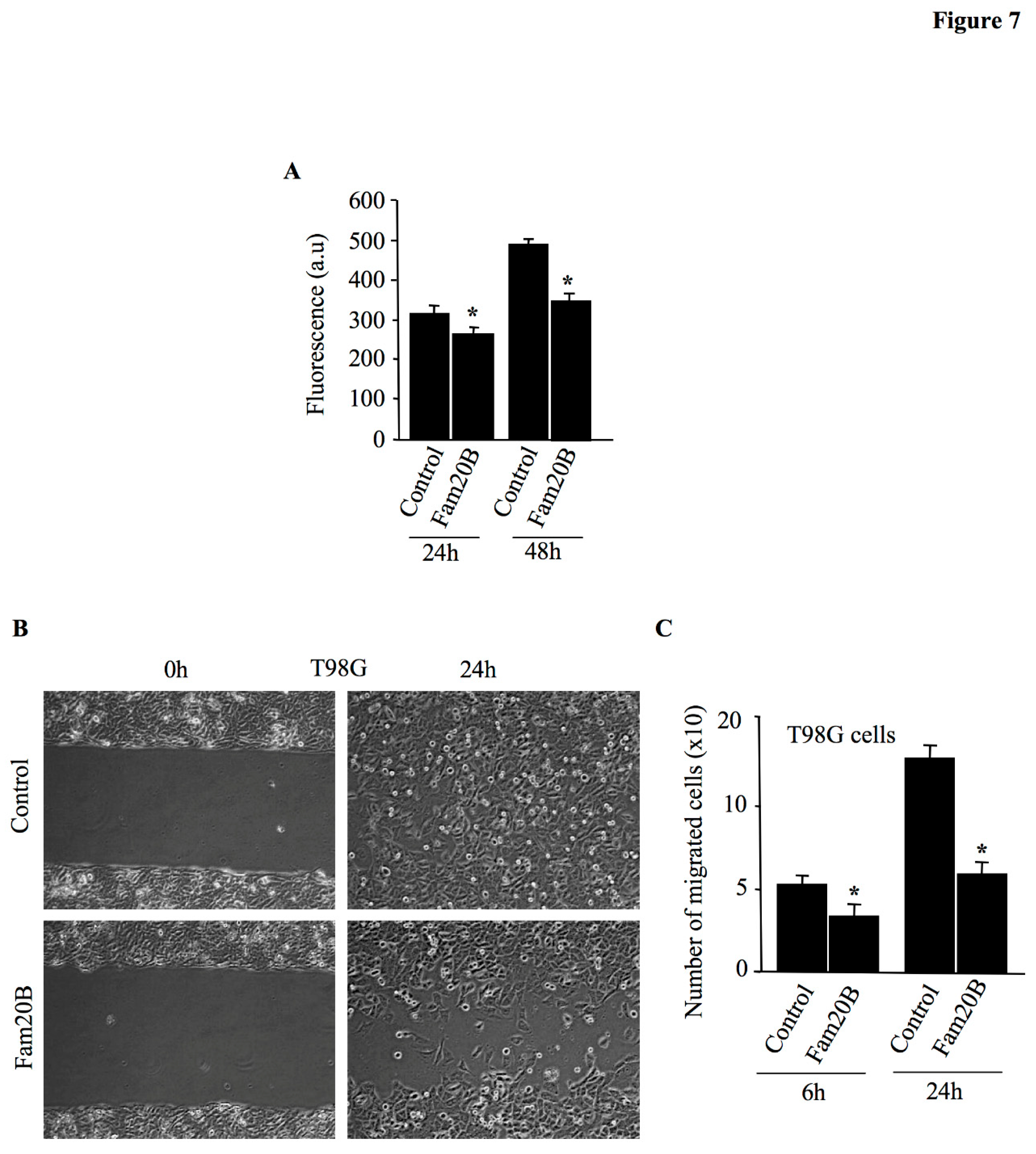 Preprints 155906 g007