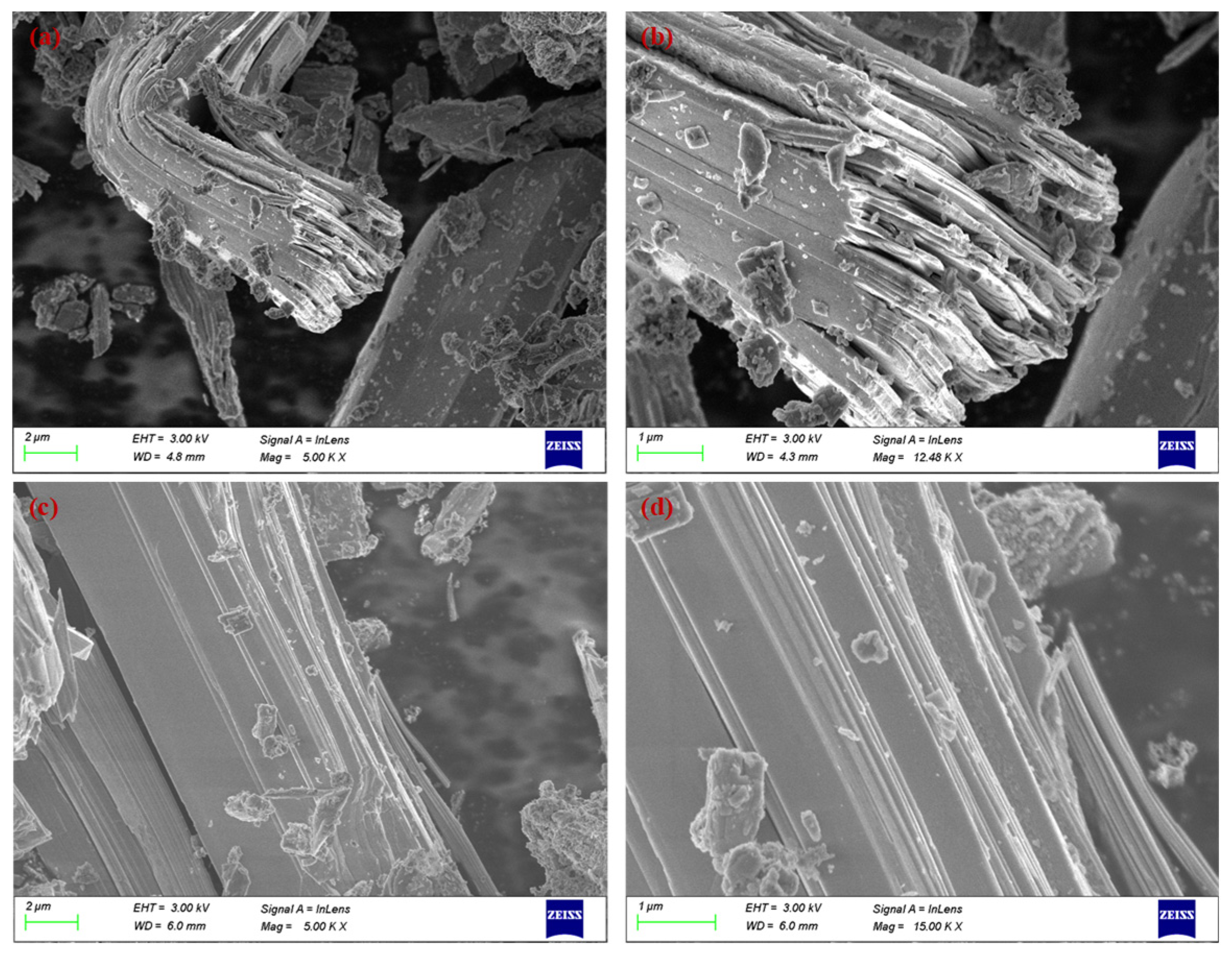Preprints 203371 g001