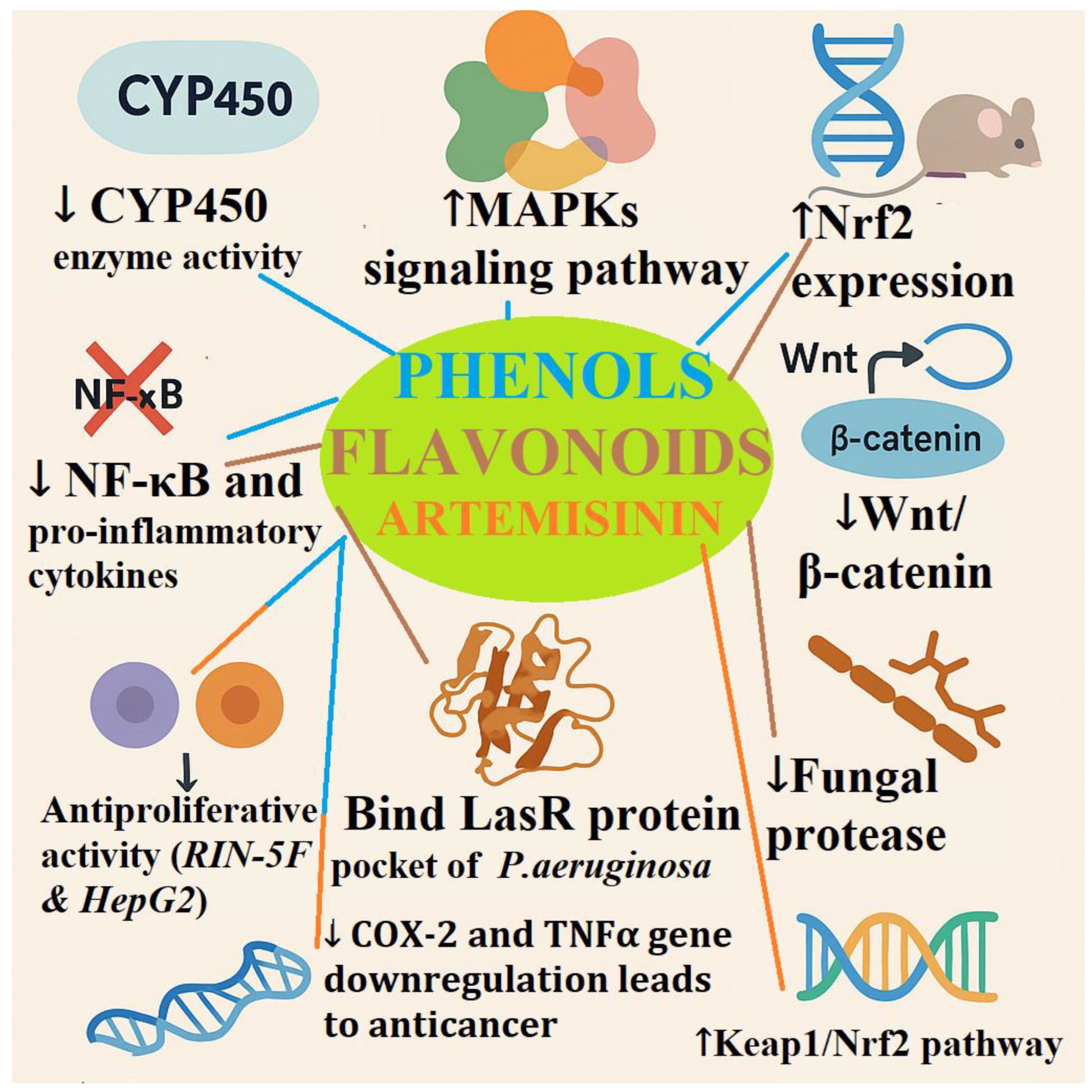 Preprints 172472 g003