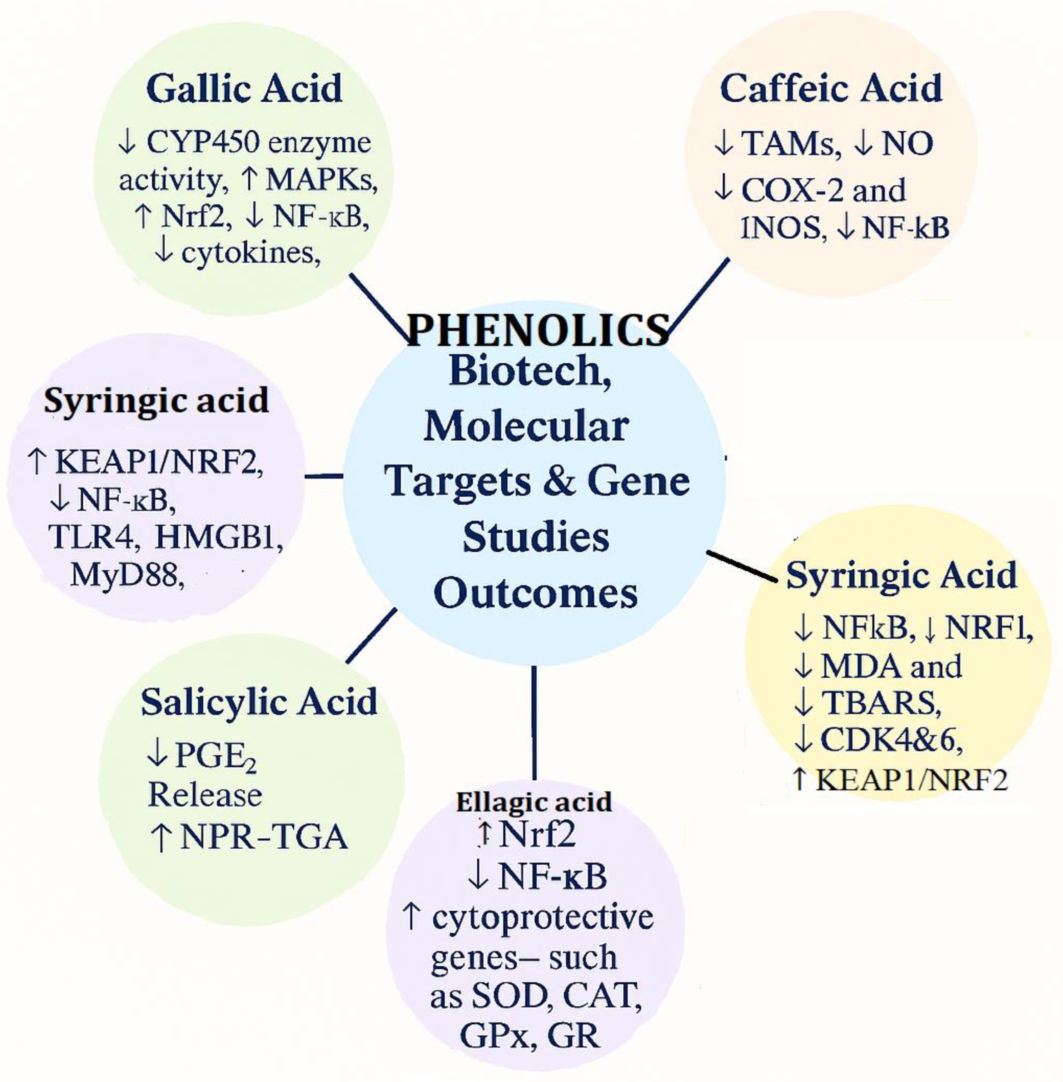 Preprints 172472 g005