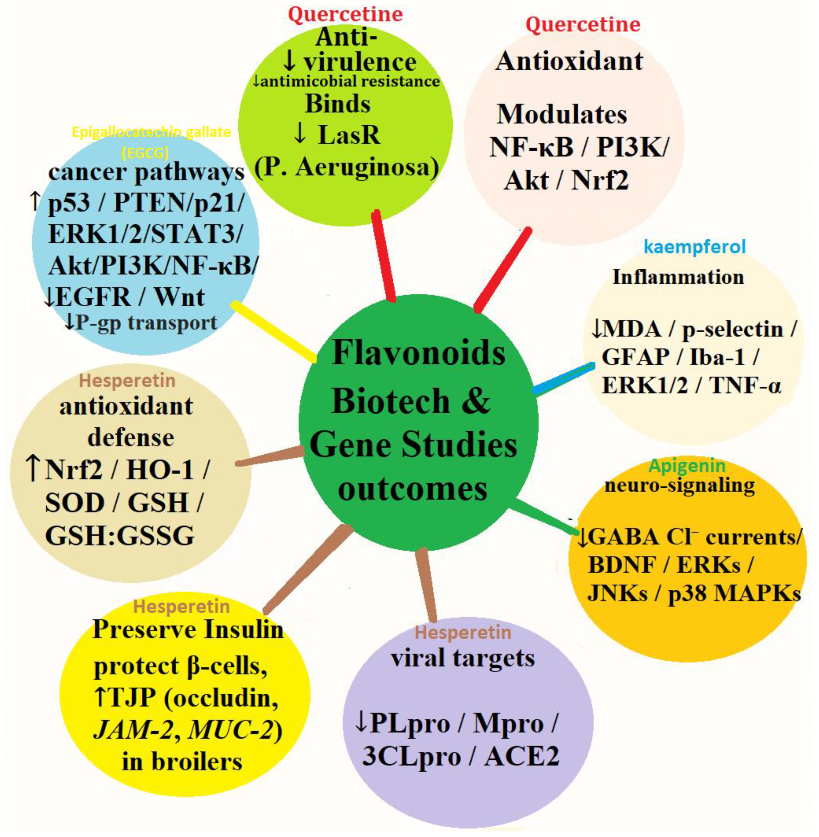 Preprints 172472 g006